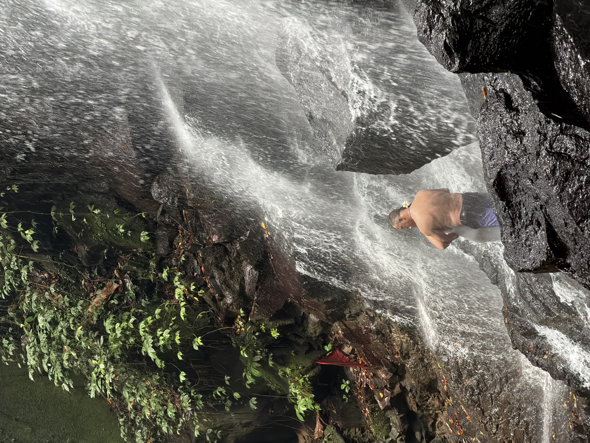 A man, appearing to be in his 40s or 50s with a muscular build and short, graying hair, stands in the middle of a cascading waterfall. He is wearing dark blue swimming shorts and has a white flower tucked behind his left ear. The man is facing away from the camera, towards the falling water, with his arms bent at the elbows, hands clasped in front of him. He is positioned on wet, dark rocks at the base of the waterfall.
The waterfall itself is a prominent feature, with a large volume of water plunging down over dark, mossy rocks. The water creates a misty spray that obscures some of the background. Lush green vegetation, including vines and broad-leafed plants, grows on the rocky cliffs to the left of the waterfall. A small, bright red cloth is visible on a rock near the vegetation. The overall environment is a tropical, natural setting, likely a secluded area within the city of Gianyar, Indonesia, known for its numerous waterfalls. The lighting suggests it is daytime, with diffused light filtering through the mist and foliage.