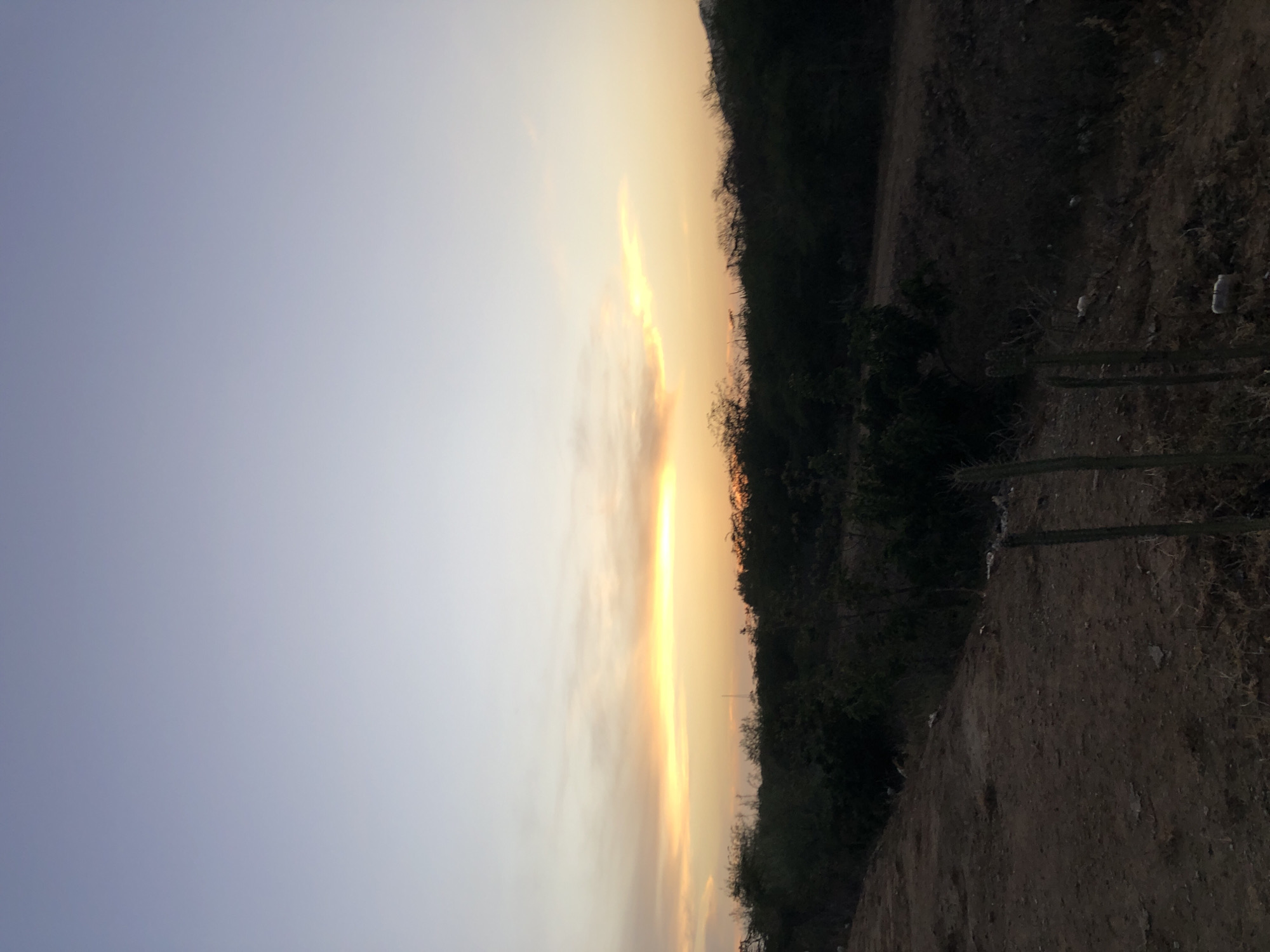 The image shows a sky with a yellow sunset along a vegetated ridge. The location is Altagracia, Venezuela. The sky is light blue fading into yellow at the horizon. There is a narrow strip of bright yellow visible between the clouds and the ridge. The ridge is covered in dark green vegetation, and a rough path runs along the base of the ridge, the ground is dark brown. Several cacti stand along the right side of the dirt path. Debris such as discarded plastic water bottles are visible on the side of the ridge.