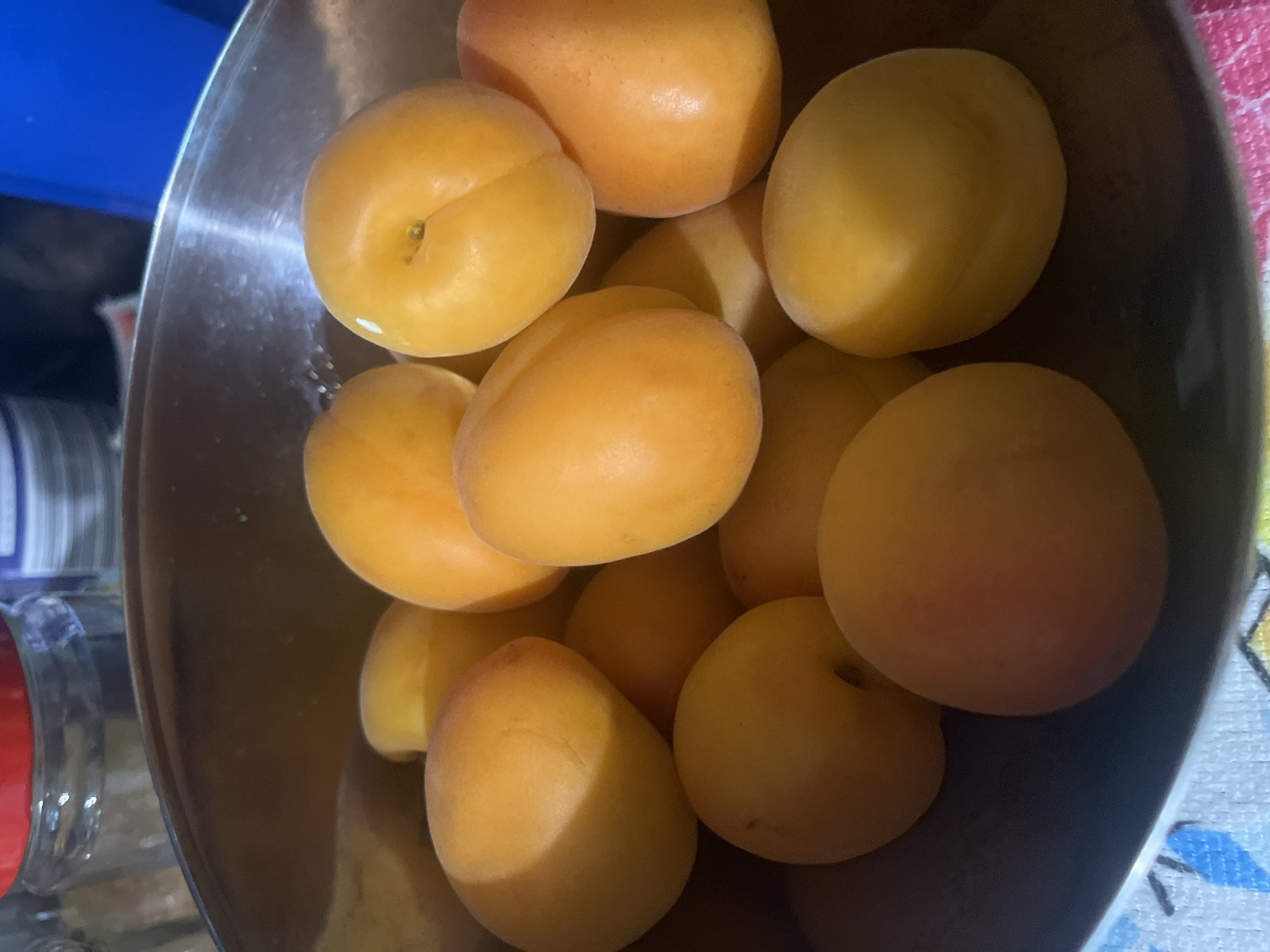 The image presents a close-up, top-down view of a metallic bowl filled with numerous ripe apricots. Approximately 15-20 apricots are visible, displaying a range of colors from golden yellow to a soft, peachy-orange hue, with some exhibiting a subtle reddish blush. Many of the fruits show natural indentations or small, dark spots where stems were attached. The stainless steel bowl is reflective, showing some light reflections and small droplets, possibly water.
In the background, to the upper left, a section of a bright blue object, possibly a plastic container or part of an appliance, is visible. Further to the lower left, a glass jar with a prominent red lid is partially cropped into the frame. The right side of the image reveals a colorful textile, likely a kitchen towel or tablecloth, featuring a patterned design with shades of pink, blue, and yellow.
There is no specific activity taking place; the apricots are static in the bowl. The setting appears to be an indoor environment, such as a kitchen or dining area. The time of day, weather conditions, and any emotions cannot be determined from the photograph. No visible text is present in the image. The location context provided is Pokrovnik, Bulgaria.