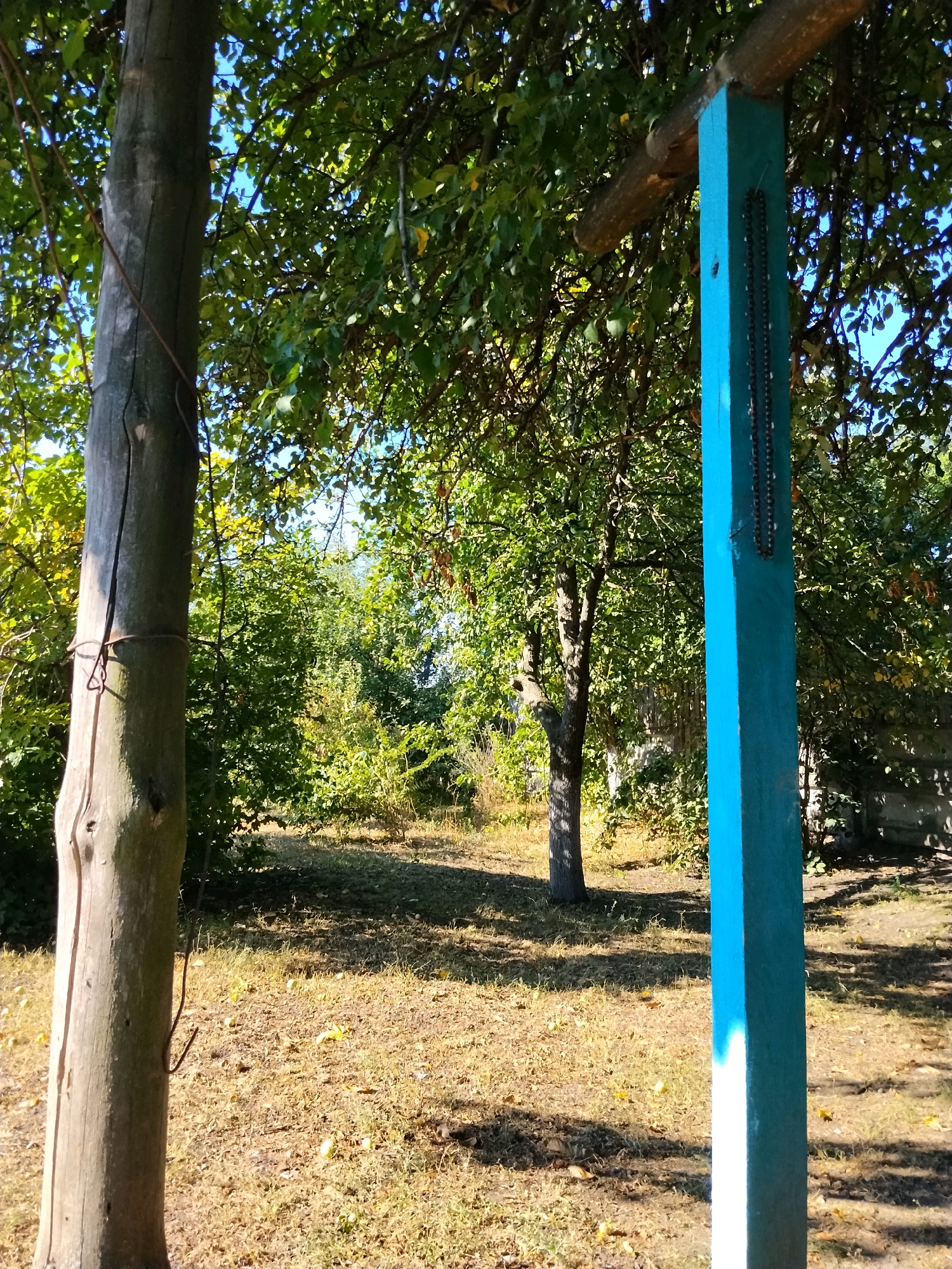 The image depicts an outdoor scene in a rural or garden setting, likely in Hoholeve, Ukraine, on a clear, sunny day. In the foreground, two vertical wooden posts are visible. The one on the left is a rough-hewn, weathered gray log with a piece of wire wrapped around it. The post on the right is painted bright blue and appears to be part of a structure, possibly a swing set or frame, with a horizontal wooden beam attached to its top. Hanging from the blue post are dark, bead-like objects, forming a long string or chain.
The background is filled with lush green foliage from trees and bushes. Sunlight filters through the leaves, casting dappled shadows on the ground. The ground itself is covered with dry, golden-brown grass and scattered fallen leaves and possibly small fruits, suggesting an autumn season. In the middle ground, a tree trunk with textured bark is visible, and beyond that, more dense vegetation stretches into the distance. A low, possibly stone or concrete, structure is partially visible to the far right, peeking through the foliage. The overall impression is one of a tranquil, somewhat unkempt, natural environment.