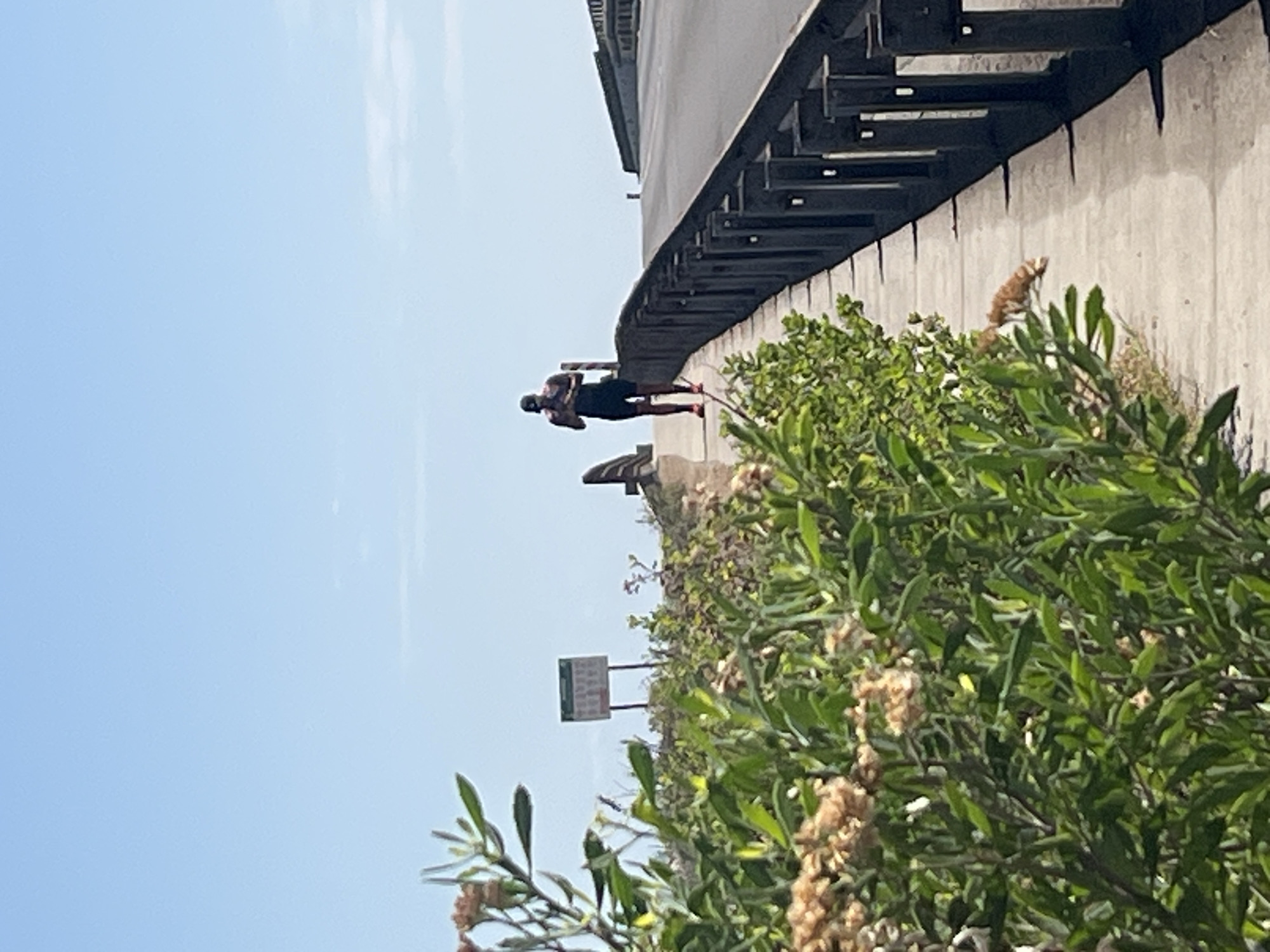 A slightly rotated, eye-level shot reveals a person jogging on a path alongside a roadway in Arica, Chile. The runner, wearing a black shirt and shorts, is captured mid-stride near a wall of the roadway. Above the runner is the structure of a bridge or elevated roadway, complete with support beams and a gray concrete retaining wall. The lower right of the frame is dominated by green vegetation. A small sign is visible amongst the vegetation. The sky is pale blue.