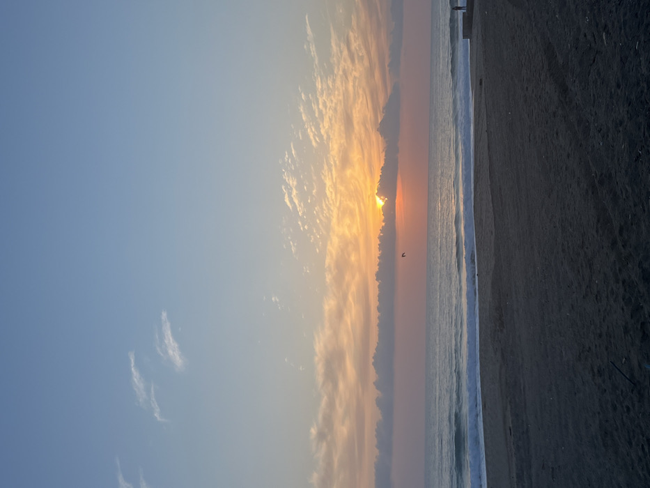 This image captures a sunrise or sunset over a beach in Alanya, Turkey. The upper sky is light blue with sparse, wispy white clouds. Below this, a broad band of cumulus-like clouds stretches horizontally, displaying hues of orange, yellow, and pink where the sun is partially obscured on the horizon. The sea occupies the mid-ground, with dark blue-grey water featuring white breaking waves rolling towards the shore. The foreground consists of dark, wet sand. A single dark object, possibly debris, lies on the sand in the lower-left. A solitary, dark human figure stands on the far right, near the water's edge, appearing to be on a low, dark structure. A dark, silhouetted bird is in flight against the lighter sky, positioned to the left of the partially hidden sun.
