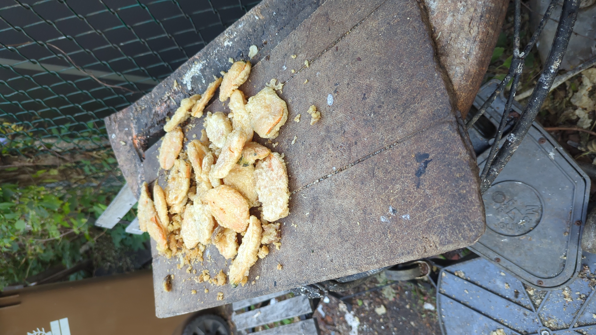 A pile of fried food, possibly shrimp or calamari, rests on a weathered wooden plank. The food is golden brown and coated in a light batter. The plank itself is rough and shows signs of wear, with visible grain and some dark smudges. Behind the plank, a green chain-link fence is partially visible, and beyond that, foliage and trees suggest an outdoor setting. To the left, the side of a large brown bin and a portion of a wheel are visible. The ground around the objects is covered in dirt, leaves, and some scattered debris. The overall scene suggests a casual outdoor setting, possibly in a backyard or a less-maintained urban area.