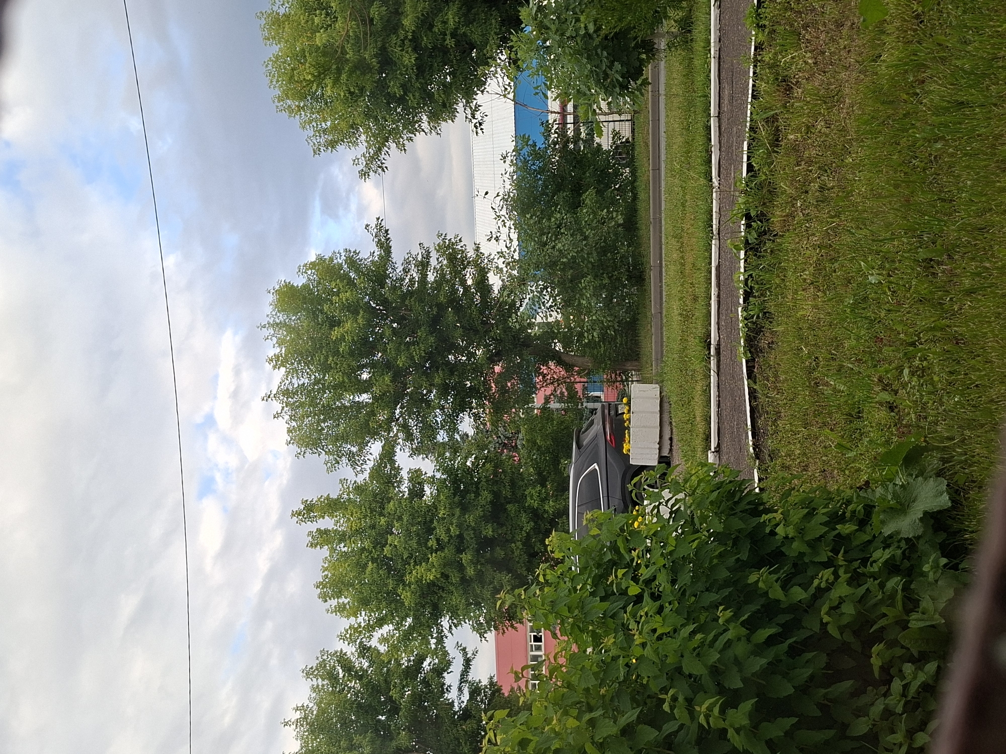 The image shows a suburban scene in Kazan, Russia, with lush green trees and vegetation. In the background, a dark-colored SUV is parked near a building with a red roof. The sky is overcast with scattered clouds. The foreground features a patch of green grass and a dense green bush. The overall impression is a peaceful, everyday moment in a city park or residential area.
