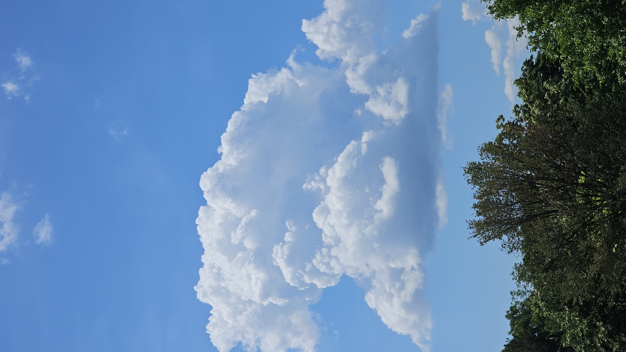 The image shows a clear blue sky with large, fluffy white clouds. Below the clouds, the tops of various green trees are visible, creating a dark green border across the bottom of the frame. The scene is tranquil and appears to be an outdoor setting, possibly in a park or a suburban area, under a bright, sunny sky. There are no people or specific city landmarks visible in the image, therefore it is not possible to determine the location in the city of Karlovo, Bulgaria.