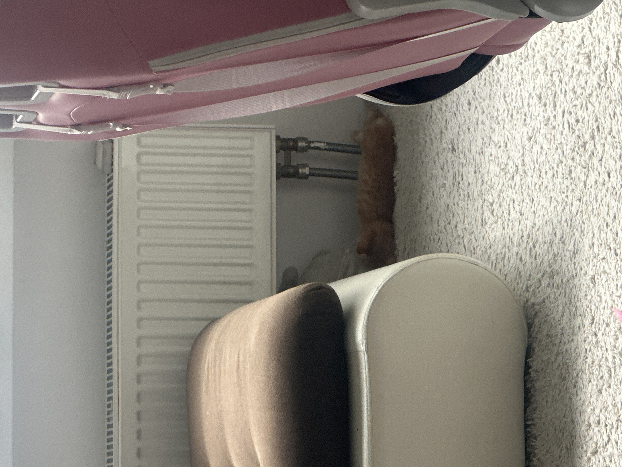 The image shows a partial view of a room in Khimki, Russia. A pink suitcase is visible in the upper left. To the left is a white radiator. An orange cat is partially visible between the radiator and a white and brown chair to the right. A textured, white carpet covers the floor. The photo is rotated counterclockwise.