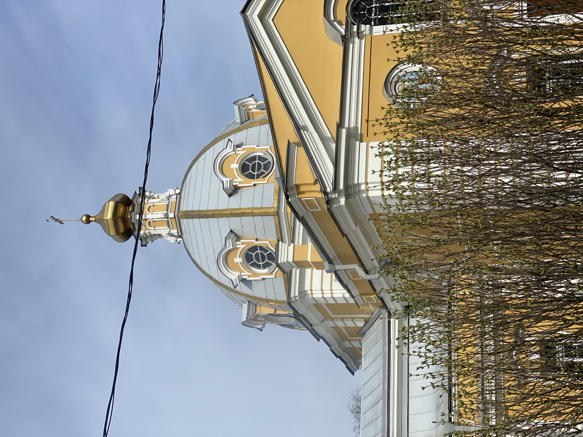 The image depicts the Holy Trinity Church in Krasnoye Selo, Russia. The architecture features a golden dome with a cross atop a gray and yellow building with circular windows. A bare tree branch obscures part of the view. Power lines are visible in the sky.