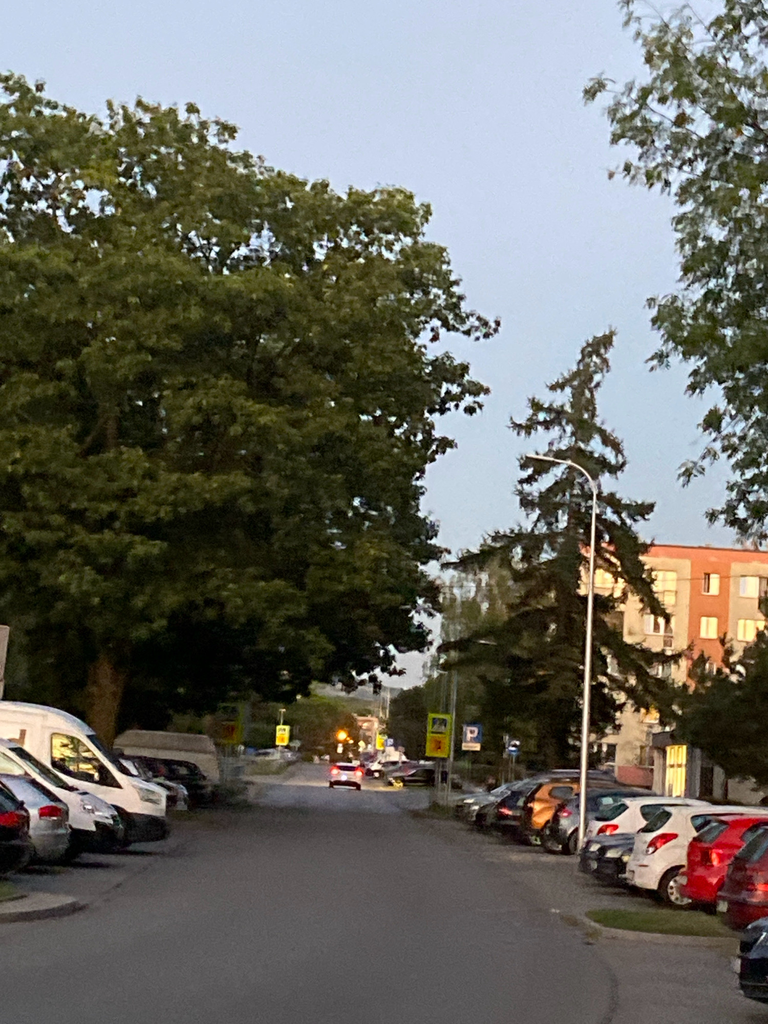 This image depicts a residential street in Nowy Sącz, Poland, likely during dusk or early evening. The street is lined with parked cars on both sides, predominantly passenger vehicles of various colors including white, red, and orange. The presence of apartment buildings suggests an urban or suburban setting. Mature trees with dense green foliage frame the scene, and a tall coniferous tree stands near a streetlamp in the mid-ground. In the distance, a red car is visible driving away from the camera, its brake lights illuminated. Several traffic signs are also present, indicating parking regulations and directional information. The sky is overcast and light. The overall impression is a quiet, everyday scene in a Polish city.