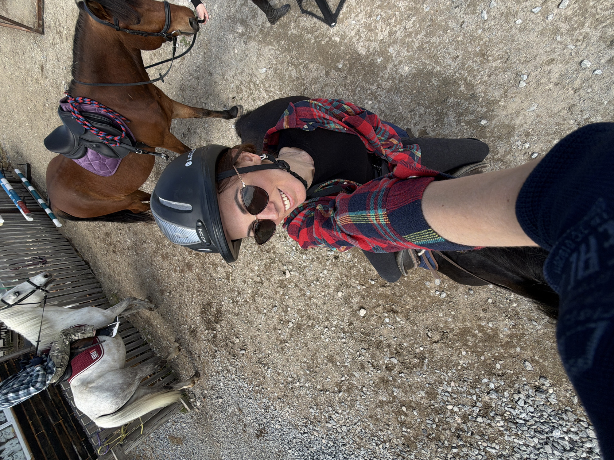 A high-angle, medium shot shows a woman in a black riding helmet and sunglasses sitting on a black horse. The woman wears a black shirt under a red and blue plaid shirt. The horse is oriented from the bottom right to the top left. The woman's right arm and sleeve are partially visible at the bottom right. A brown horse with a purple saddle is visible at the top left. A white horse with a red saddle is seen at the bottom left. The ground is gravel. The location is likely near a stable or riding area, but there are no specific features definitively placing it in Теплоозёрск, Russia.