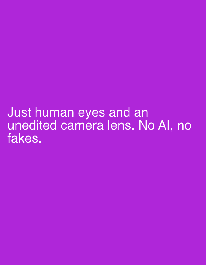 The image displays a solid, uniform purple background. White sans-serif text is centrally aligned and occupies the lower portion of the frame. The text reads: "Just human eyes and an unedited camera lens. No AI, no fakes." There are no visual elements depicting people, objects, actions, or a specific environment. The image contains no visual information identifying a location in the city of Berezyna, Ukraine, or any other geographical place.