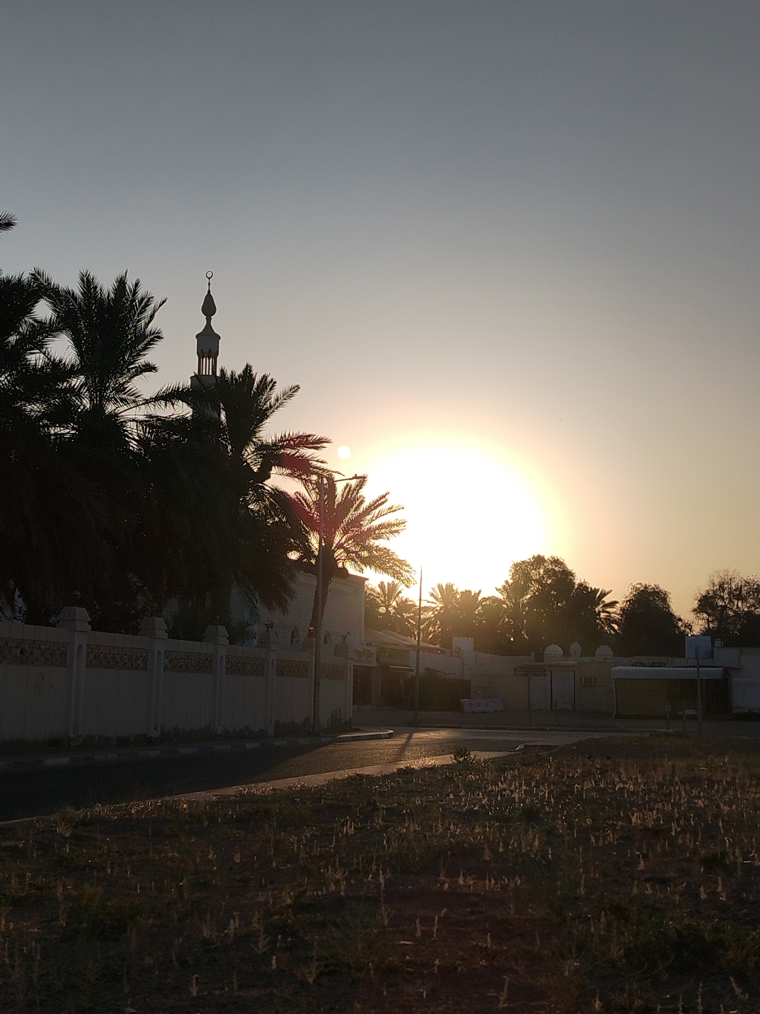 The photograph captures a serene sunset in Al Mas'oudi, United Arab Emirates. Silhouetted against the bright orb of the setting sun and the pale sky are several palm trees. A minaret, topped with a crescent moon, is visible behind the palm trees, suggesting the presence of a mosque. A decorative wall runs along the foreground, bordering a paved area that could be a street or a pathway. The ground in the immediate foreground is covered with dry, sparse vegetation. The overall scene is tranquil, illuminated by the warm, soft light of dusk.