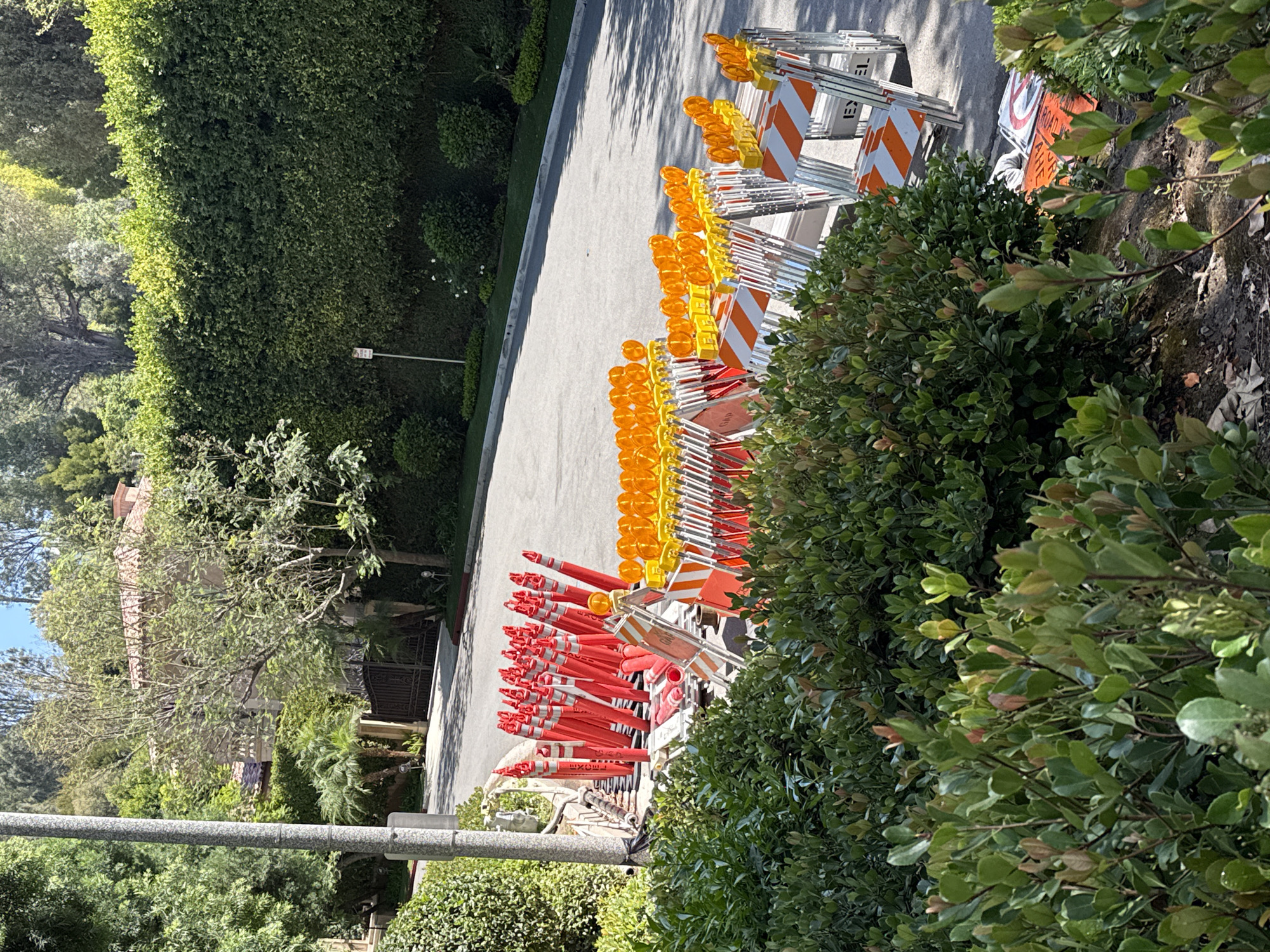 This media file depicts a row of orange traffic cones and barricades lined up on a paved surface, likely a residential street in Beverly Hills, California. The cones are stacked in several rows, with the front rows being predominantly orange and the back rows transitioning to yellow tops. Some of the barricades have orange and white reflective stripes. In the background, lush green hedges and trees line the street, suggesting a well-maintained, upscale neighborhood. A portion of a house with a tiled roof is visible through the foliage on the left side of the frame. The lighting suggests it is daytime, with sunlight casting shadows on the pavement, indicating a bright and possibly warm day. The scene is static, with no visible activity or people. A white post with a traffic signal head is partially visible on the left edge of the frame. The overall impression is one of preparation for road work or traffic control in a scenic and affluent area.