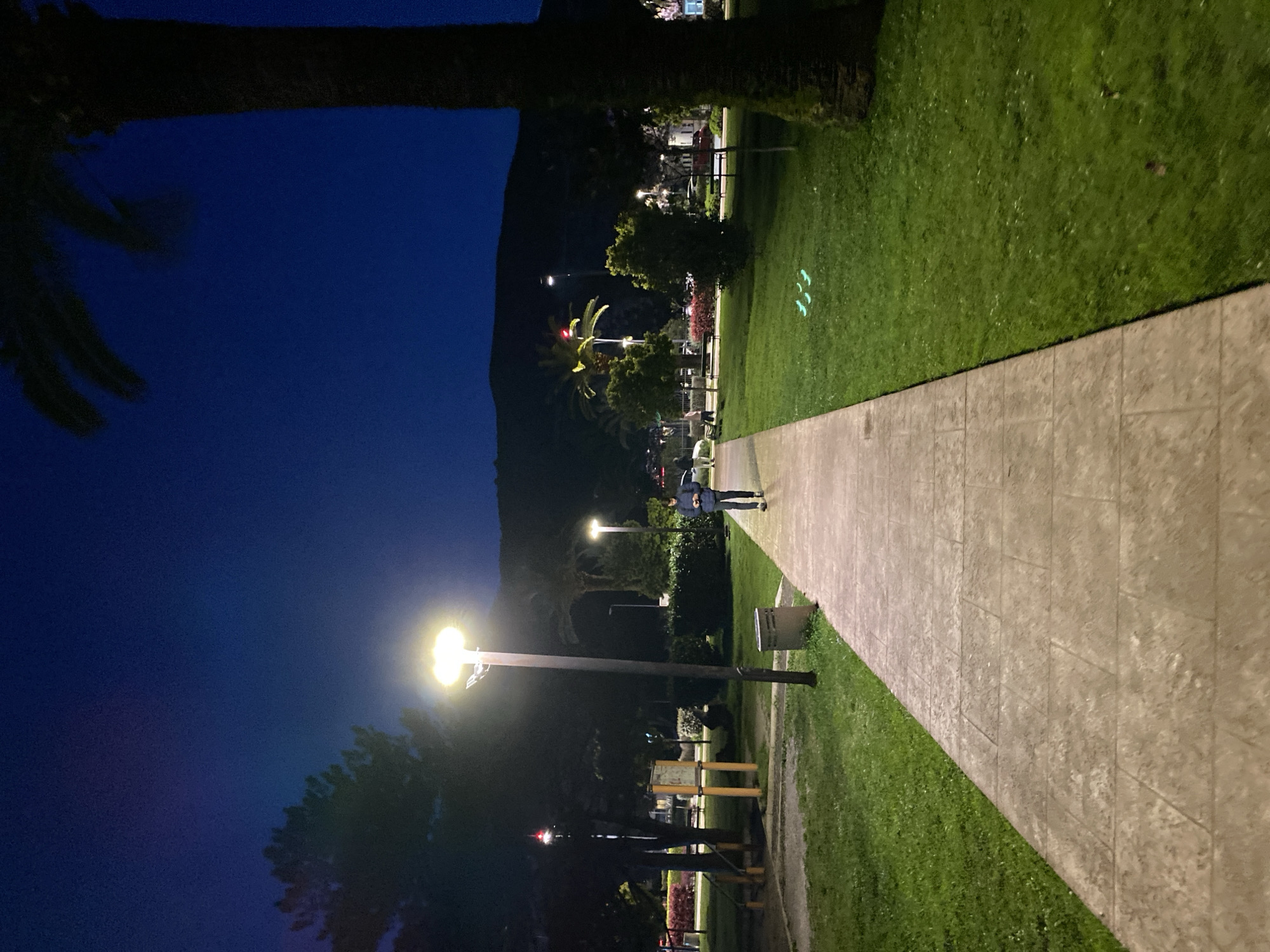The image displays a nighttime scene within a public park or promenade area in Budva, Montenegro. A paved, light-colored pathway extends from the foreground toward the background, bordered by green grass on both sides.
In the mid-ground, a tall street light post stands to the left of the path, featuring a double-headed fixture emitting bright, warm yellow light. A grey waste bin is affixed to its lower section. A male individual, dressed in dark clothing, walks along the pathway, moving away from the viewer. He holds a mobile phone in both hands and appears to be observing its screen.
To the left of the pathway, on the grassy area, structures resembling outdoor gym equipment, consisting of vertical posts and horizontal bars, are visible. Various trees and bushes populate the mid-ground, with additional streetlights providing illumination. A tall, slender pole with a blinking red light is discernible in the distant left.
The background is dominated by a dark mountain range silhouetted against a deep indigo-blue night sky. Scattered artificial lights are visible at the base of the mountains, indicating urban development. A dark, thick tree trunk, consistent with a palm tree, partially frames the right side of the image.