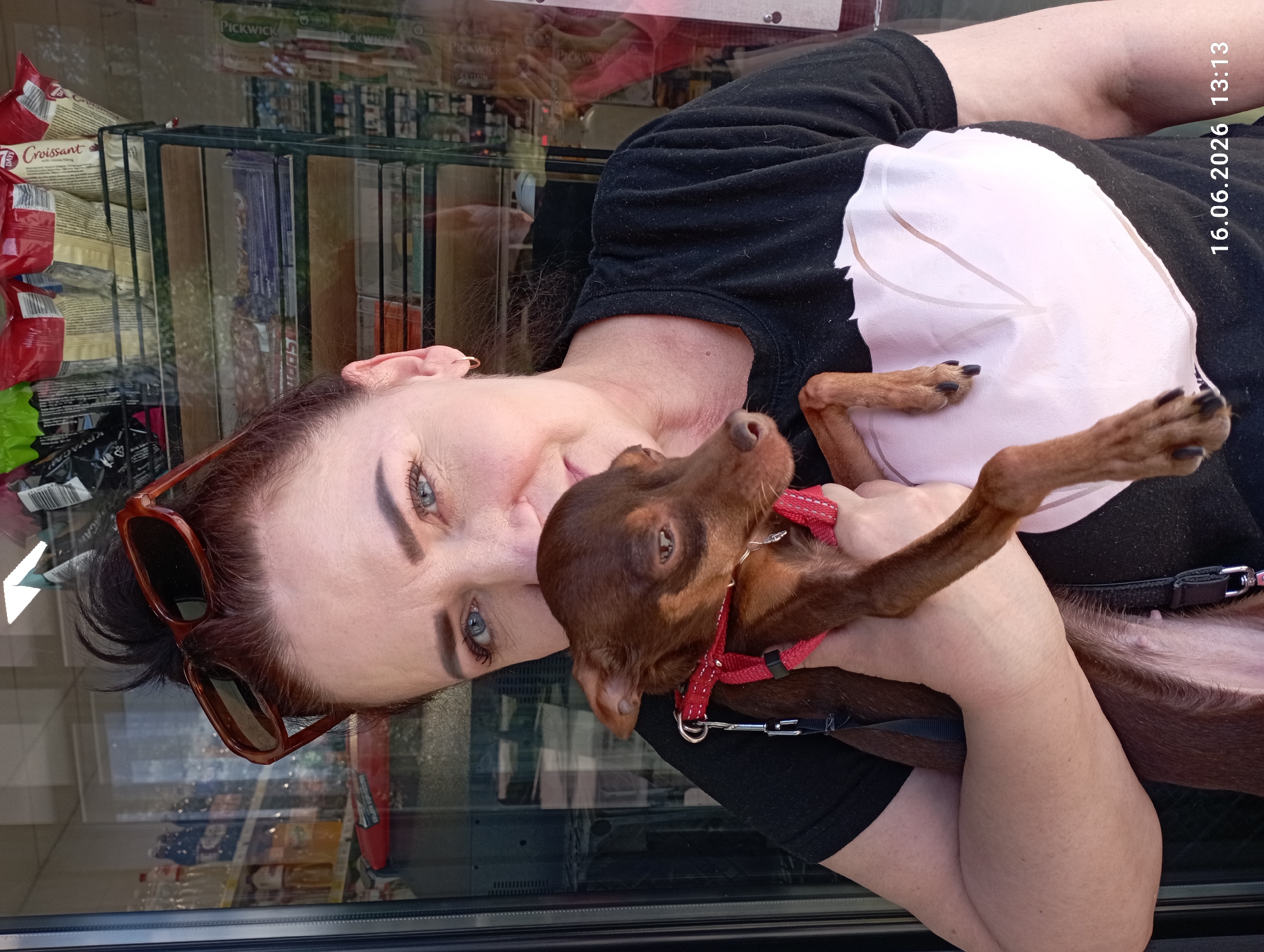 A woman, likely in her 40s or 50s, with auburn hair pulled up and large brown-rimmed sunglasses perched on top, is holding a small, brown dog with a red harness. The dog is positioned across her chest, its head resting near her face. The woman is wearing a black t-shirt with a light-colored heart design on the front. Her expression is soft and she appears to be looking towards the camera. The background suggests an indoor setting with shelves filled with various products visible through a glass pane. The lighting is bright, casting some reflections on the glass. A timestamp in the lower right corner reads "16.06.2026 13:13".