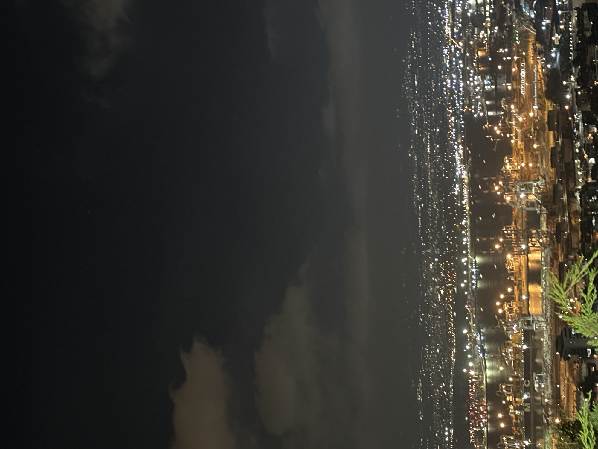The image captures a nighttime panorama of the Haifa Bay area in Haifa, Israel. The foreground features lush green foliage, partially obscuring the view. The midground is dominated by the Port of Haifa, illuminated by a multitude of lights. Numerous cranes are visible, along with ships docked in the harbor. The water reflects the vibrant lights of the port and the city. In the background, the city of Haifa stretches across the hills, its skyline a dense mosaic of glowing lights against the dark night sky. Clouds drift in the upper portion of the image, tinged with the ambient light from the city. The overall scene depicts a bustling industrial and urban landscape at night.
