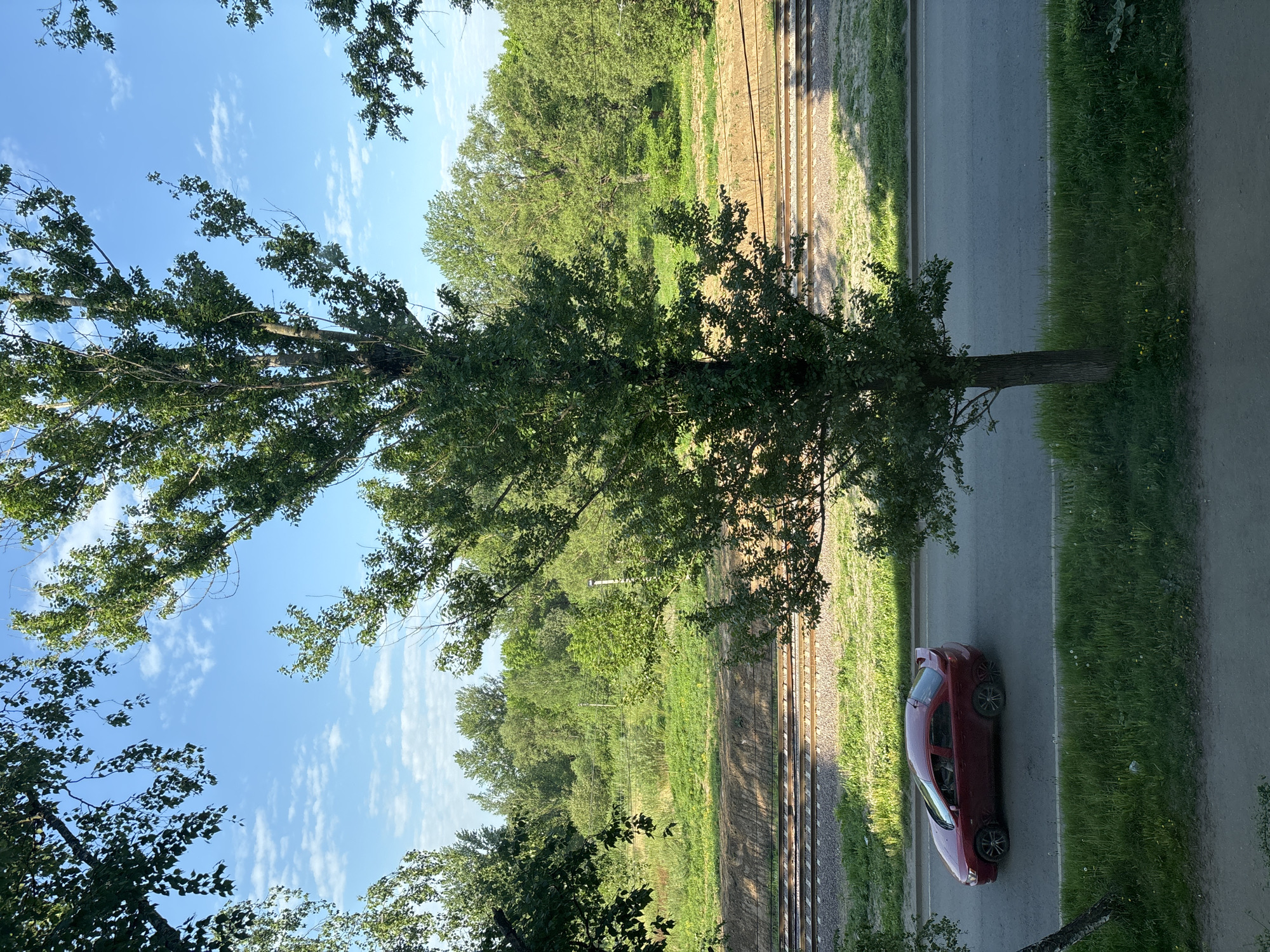 The image depicts a scene in Fedorino, Russia. A red car is parked on the side of a road, next to a tree. Beyond the road are railroad tracks and a wooded area. The sky is blue with some clouds. The image appears to be taken from an elevated position, possibly a building.