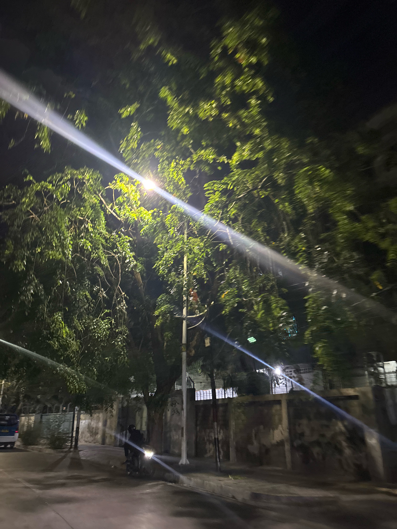 The image depicts a street scene at night, likely in North Jakarta, Indonesia. A single motorcycle with its headlight illuminated is moving along a paved road, with a person wearing dark clothing riding it. To the right of the road, a tall street light is visible, casting a bright beam across the scene. Lush green trees with dense foliage line the street, their leaves catching the artificial light. Beyond the trees, a low-rise building with windows is partially visible, and a weathered concrete wall runs along the property line. The ground is wet, suggesting recent rain. The overall atmosphere is dark and somewhat eerie, with the strong light beams creating dramatic contrasts and flares within the frame.