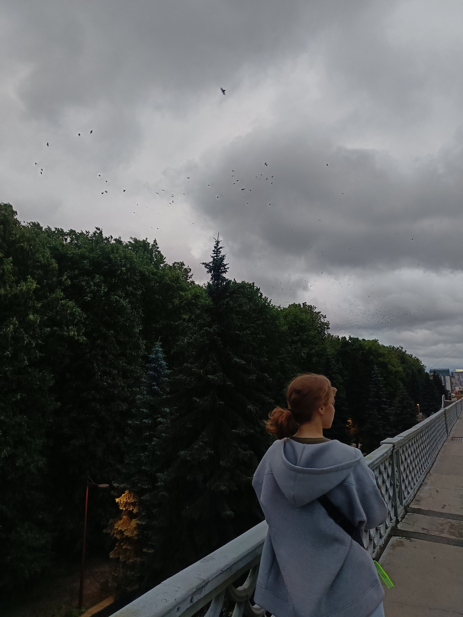 A young woman with reddish-brown hair pulled into a ponytail stands on a pedestrian bridge, looking out at a flock of birds flying in a cloudy sky. She is wearing a gray hooded sweatshirt and has a dark bag slung across her body. The bridge has a decorative metal railing. To the left of the bridge, dense green trees line the landscape, with a single streetlamp illuminating a small section of the foliage. In the distance, buildings and a road can be seen. The overall scene suggests a slightly overcast day in an urban park or green space. This location is likely the bridge over the Pregolya River on Island of Kant in Kaliningrad, Russia, a popular area with parkland and views of the city.