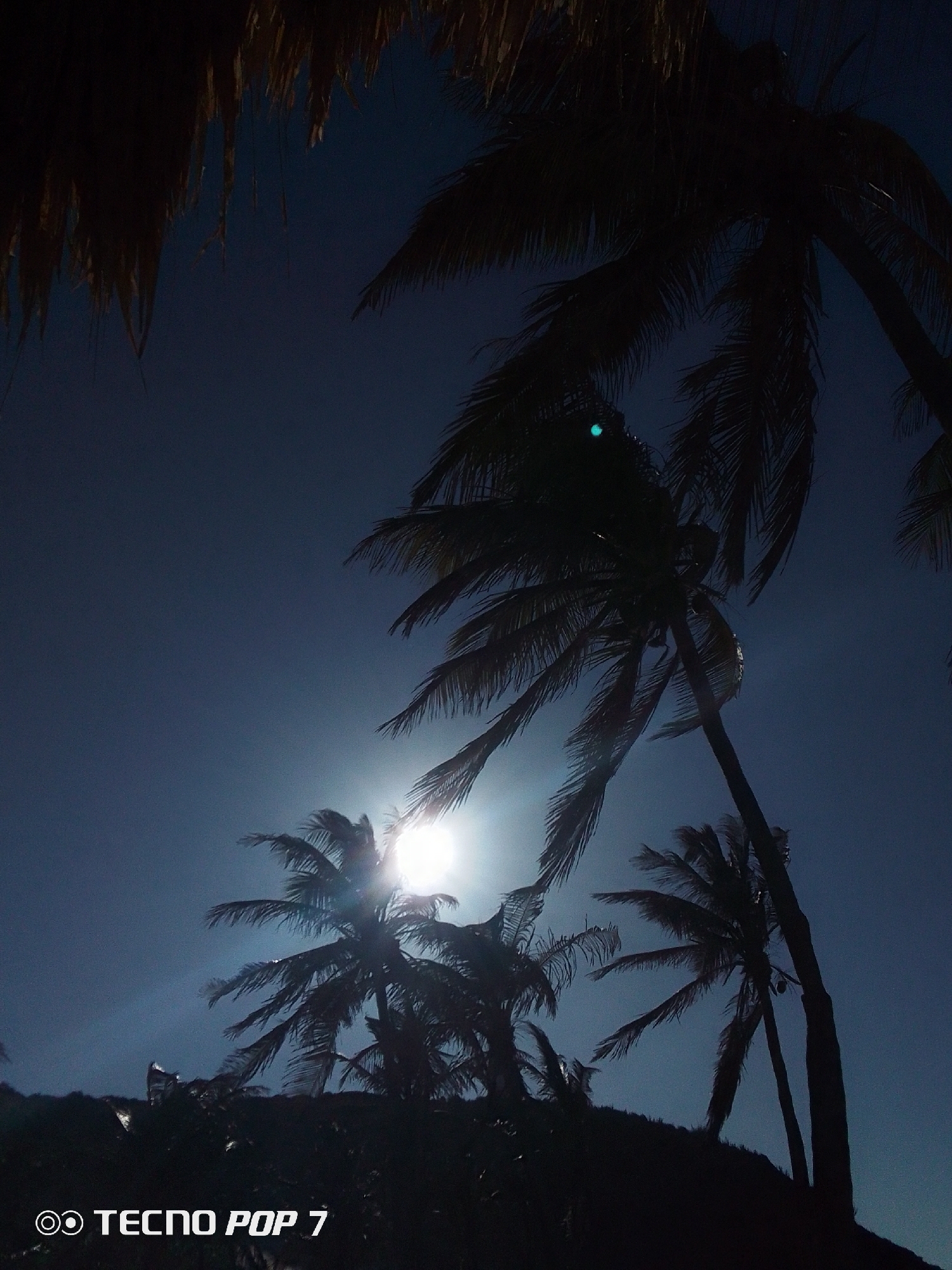 The image captures a scene with palm trees silhouetted against a bright light source, likely the sun. The overall lighting suggests either early morning or late evening. There's a thatched structure partially visible in the upper left corner. The "TECNO POP 7" branding is visible in the lower left corner. Without further details, there is not enough information to determine the specific location in Pedro González, Venezuela.