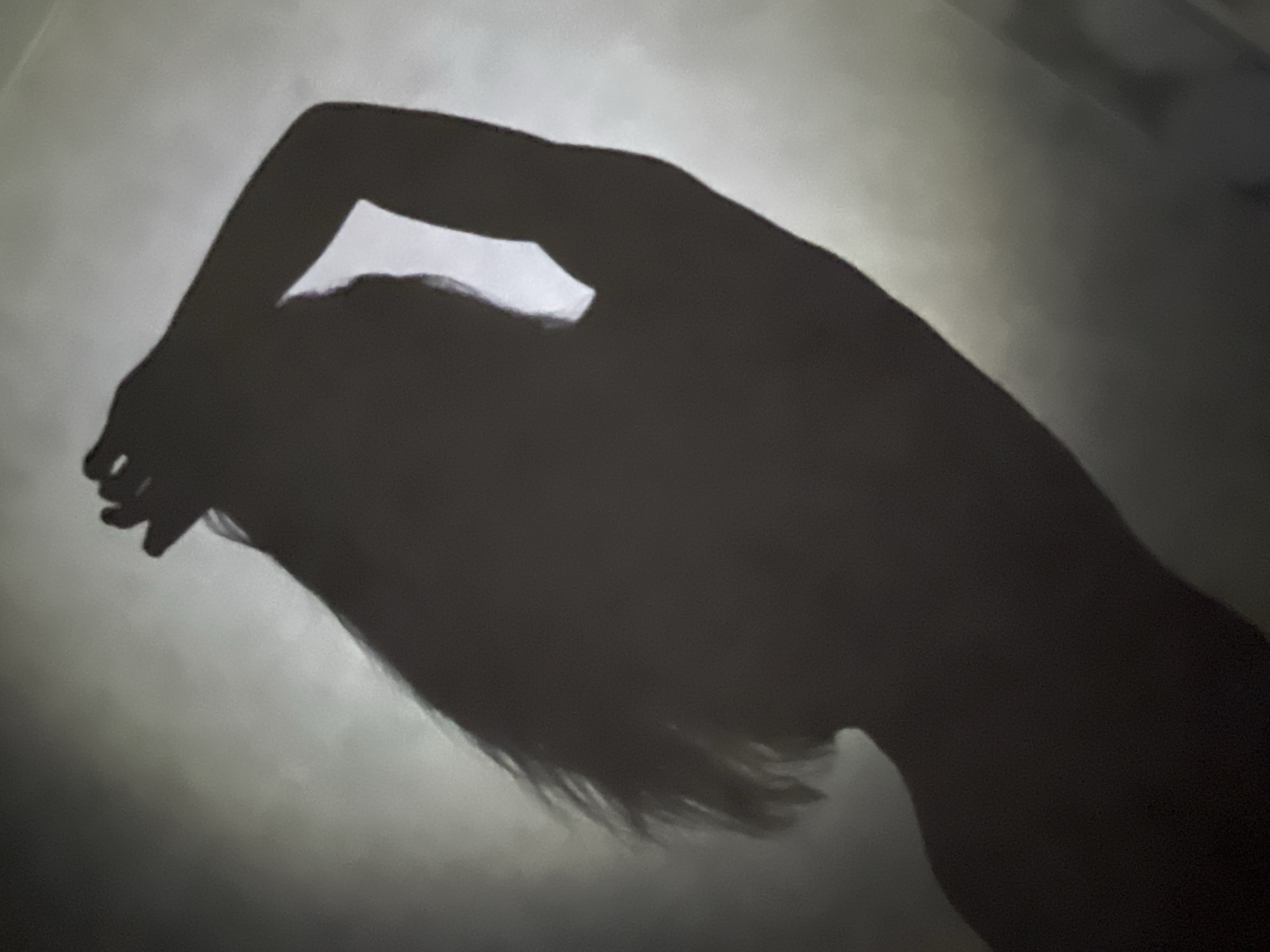 The image is a silhouette of a person with long hair, likely female, reaching up with one arm. The head is angled down and to the left. The body is partially visible. The background is a gradient of light gray to white, suggesting indoor lighting on a neutral surface. There is no information to determine the location as Chaikovsky, Russia.