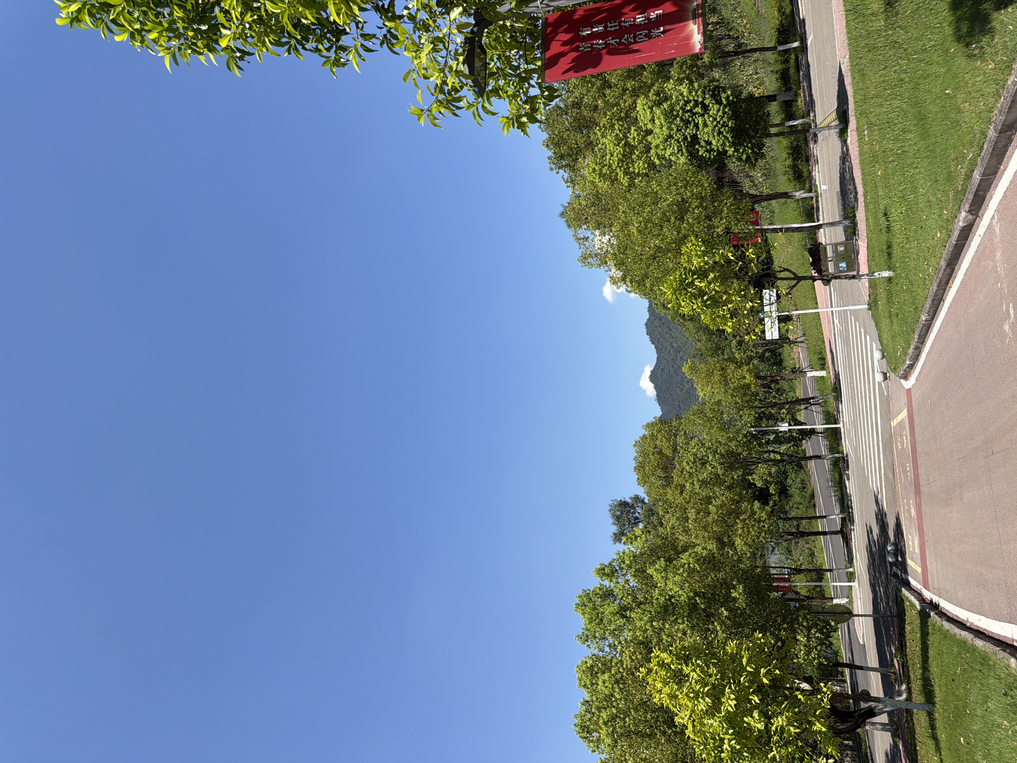 The image depicts a clear, bright day with a vibrant blue sky. A paved pathway, bordered by green grass, curves into the foreground. To the left, several trees with lush green foliage are visible. In the mid-ground, a road crosses the pathway, marked with a pedestrian crossing. More trees line the road, creating a treelined avenue. Beyond the trees, mountains form the background, partially obscured by the foliage. A red banner with Chinese characters is hanging from a lamppost on the right side of the image, near the top. The scene suggests an outdoor, possibly campus or park-like setting.