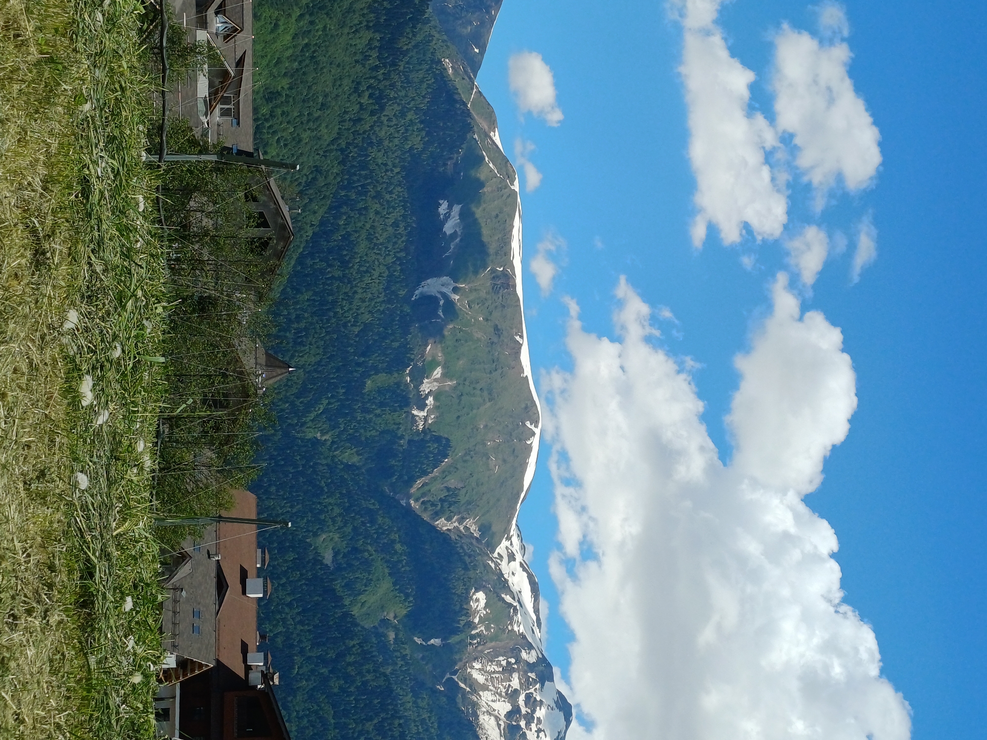 The image displays a panoramic view of a mountainous landscape with a residential or resort settlement in the midground, characteristic of Estosadok, Russia. The upper third of the frame consists of a bright blue sky with scattered white cumulus clouds, indicating clear daytime conditions.
In the background, a range of large mountains rises prominently. Their peaks and higher slopes are partially covered with white snow, suggesting a high altitude or a period of late spring/early summer. The lower and middle sections of the mountains are densely forested with dark green coniferous trees. Shadows are visible on the mountain slopes, particularly on the central peaks, indicating the position of the sun.
The midground features several buildings with sloped, dark-colored roofs, including shades of brown and gray. Multiple chimneys are visible on the rooftops. The architecture appears to be modern, possibly chalet or resort style. One building on the far left has dormer windows, while another in the center seems partially obscured by foliage and possibly unfinished or in a rustic style. A pointed spire or decorative element is visible on a roof to the left.
The immediate foreground is dominated by a field of tall, unkempt green grasses. Scattered among the grass are numerous white, fluffy seed heads, resembling dandelions past bloom. Some thin wires or supports are discernible extending across the foreground vegetation. No individuals or overt activity are visible in the scene.