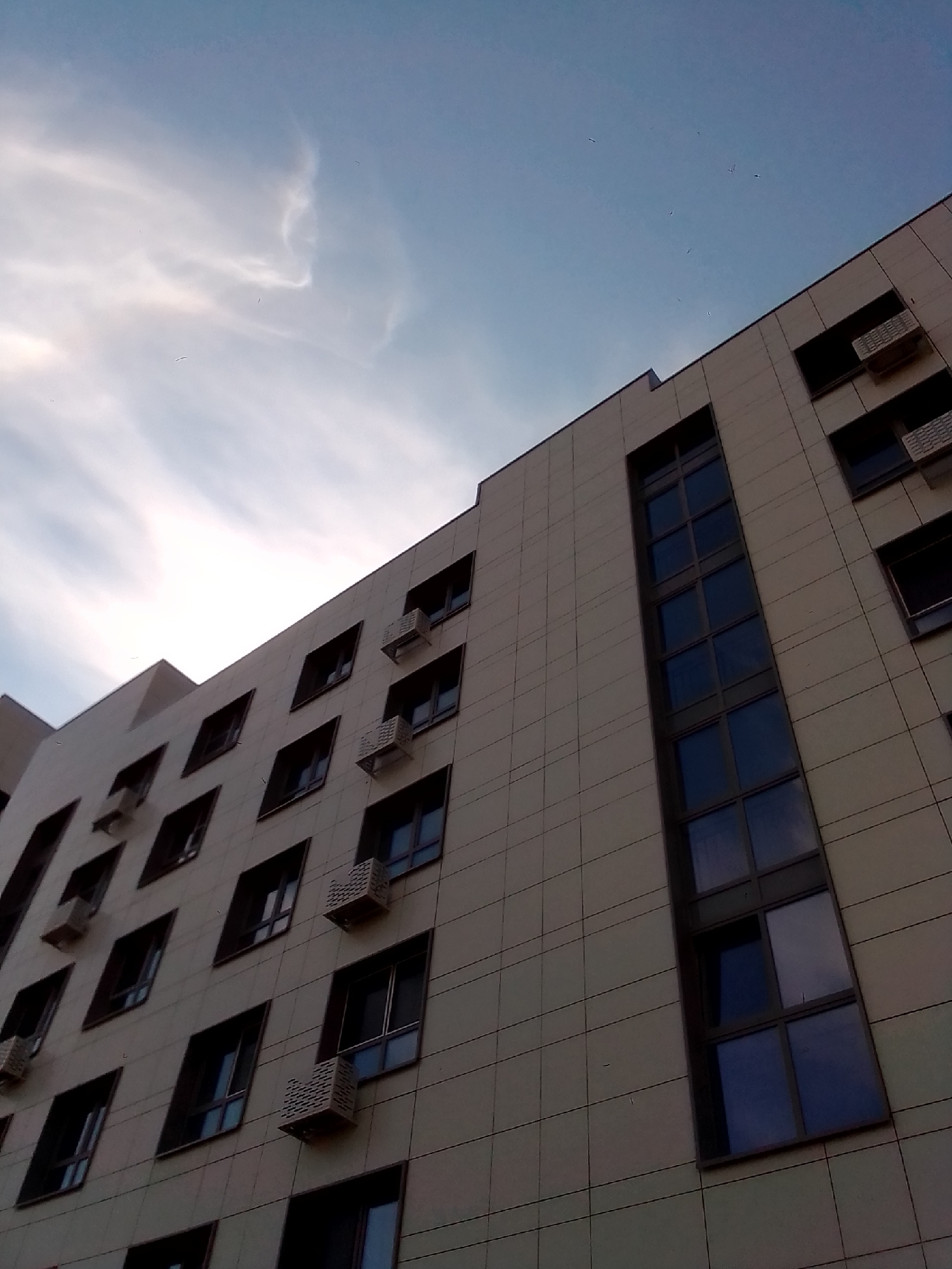 A low-angle, medium shot captures the exterior of a modern building under a pale blue sky with wispy clouds and several small, dark specks, likely birds or insects. The building's facade is constructed of light-colored, square panels. Numerous windows of various sizes are visible, many with dark frames and reflective glass. Some windows have air conditioning units installed beneath them. One section of the building features a tall, narrow vertical window composed of multiple smaller panes. The overall scene suggests an urban environment during daylight.