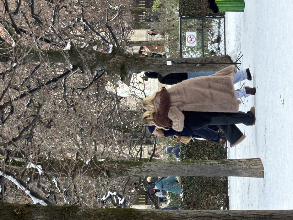 The image displays a snow-covered section of the Jardin des Tuileries in Paris, France, during winter. Two individuals are embracing in the center foreground, facing each other. One individual, seen primarily from the back, wears a long, light brown faux fur coat, light blue pants, and dark brown boots. The other individual, with their left arm around the first person's shoulders, wears a dark brown jacket over a dark garment, dark pants, and light brown boots, with a beige handbag visible on their right side.
Snow covers the ground and lightly dusts the bare branches of numerous deciduous trees that frame the scene. In the midground, a low green hedge separates the immediate foreground from a slightly elevated area where multiple other pedestrians are observed, some sitting, some standing. A classical white stone statue depicting a draped figure is visible between the central trees. Further back, ornate dark metal gates are present, beyond which faint classical stone architecture is discernible. To the right of the embracing figures, a white circular sign with a red border depicting a black dog with a red diagonal line through it (indicating "No Dogs") is attached to a fence. A green, vertically striped object is partially visible on the far right.