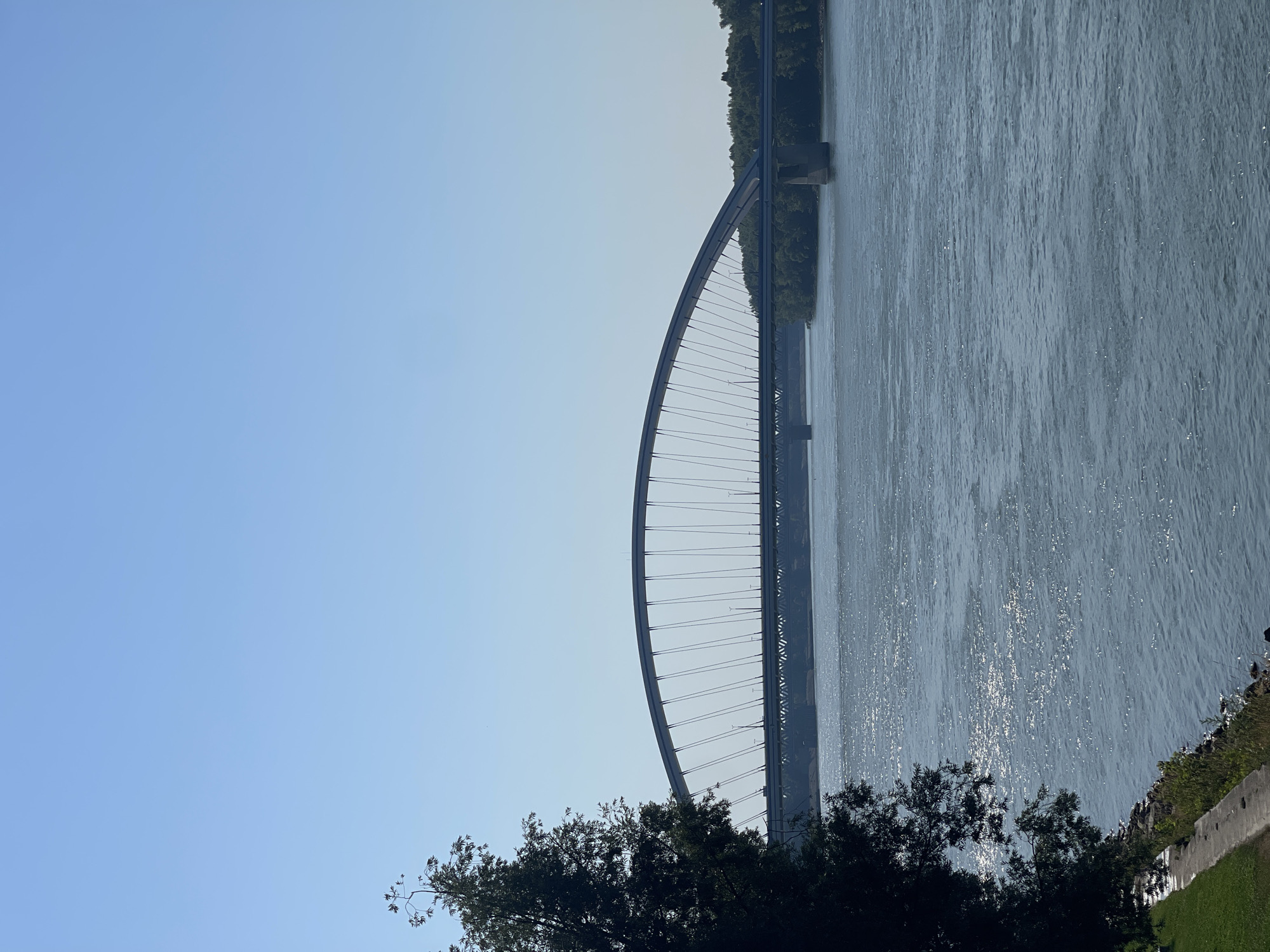A wide river, likely the Danube, flows under a clear blue sky. In the mid-ground, a modern arch bridge spans the water, its structure characterized by a curved arch and numerous cables supporting the roadway. Another bridge, appearing older and lower, can be seen in the distance, also crossing the river. The right bank of the river is lined with dense green trees. On the left side of the frame, a portion of a grassy bank leads to a paved walkway, with a large tree in the foreground partially obscuring the view of the main bridge. The water's surface is dappled with sunlight, creating a sparkling effect. The scene appears tranquil, suggesting a daytime setting in Bratislava, Slovakia, possibly depicting the Apollo Bridge and the Old Bridge.