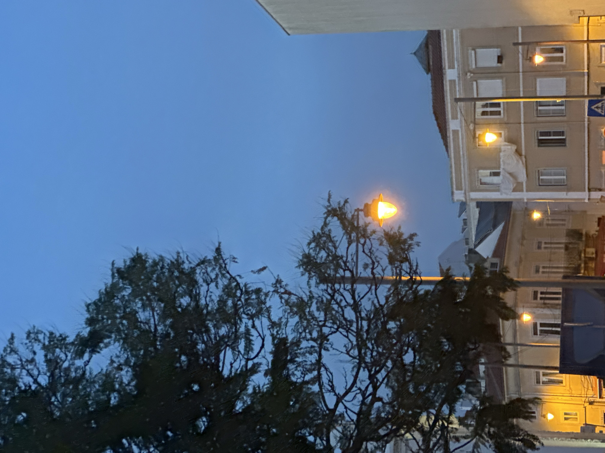 The image captures a twilight scene in Lisbon, Portugal. The sky is a deep, clear blue, indicating either dawn or dusk. In the foreground, the silhouettes of trees with bare branches are prominent, suggesting it might be autumn or winter. The trees are dark and slightly blurred, as if moving in a gentle breeze.
Behind the trees, a building with a light-colored facade and a reddish-brown tiled roof is visible. Several windows with white frames are spaced across its levels. Some windows are dark, while others have lights on, casting a warm glow. Streetlights with orange lamps are dotted along the building and street, illuminating the scene. A blue traffic sign with a white symbol (possibly a warning sign) is attached to a pole in front of the building. Another building, partially visible, is also lit up.
The overall mood is calm and serene, characteristic of the transition between day and night. The lighting suggests artificial lights are beginning to take over from the natural light. The presence of trees and buildings, along with the specific architectural style of the building, are consistent with an urban setting in Lisbon. No people are visible in the frame. There is no discernible text in the image.