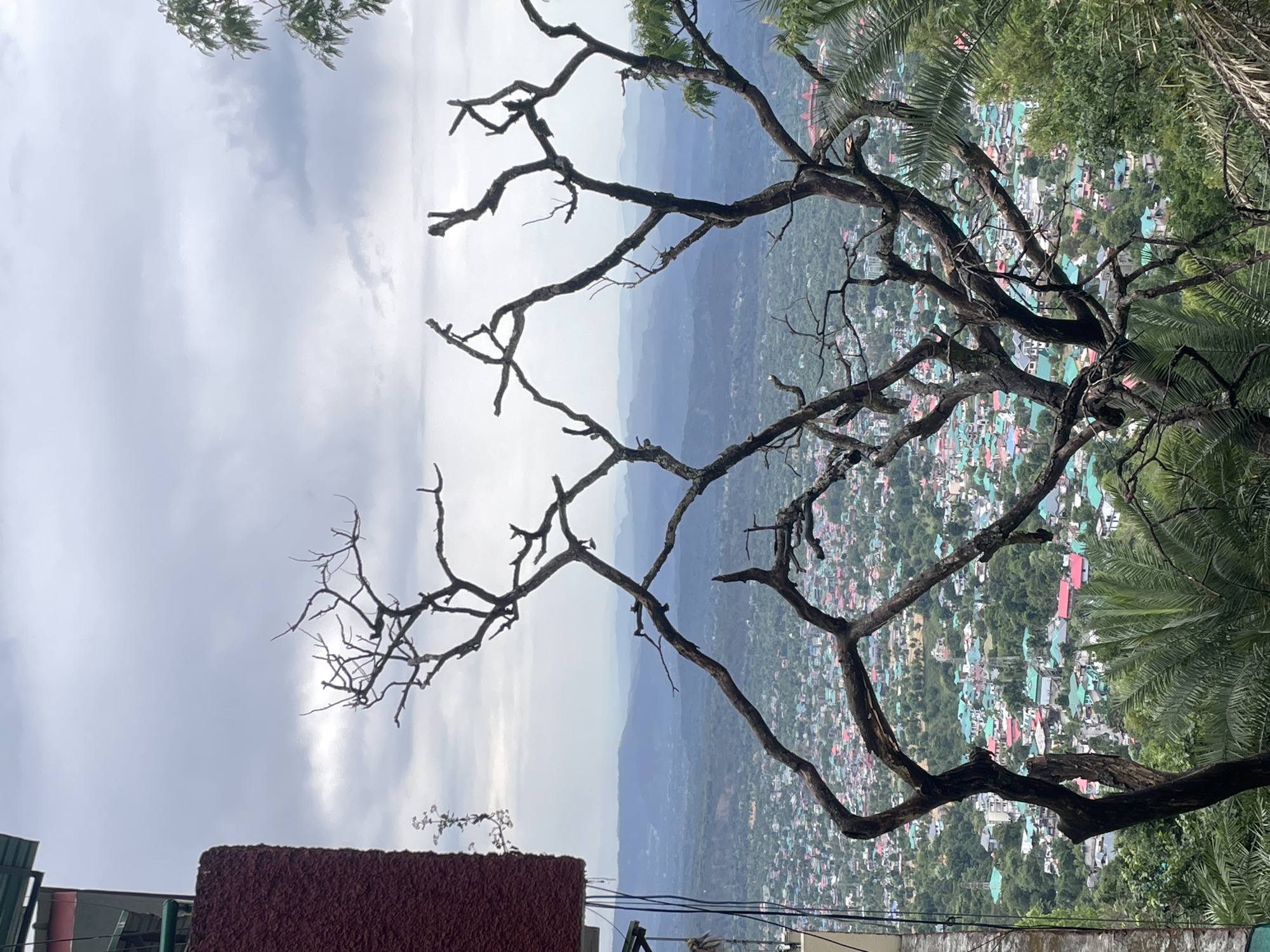 A landscape photograph taken in Dharamshala, India, depicts a townscape viewed through the bare branches of a tree. The foreground includes parts of a building and some foliage. Beyond the tree, a sprawling cityscape is visible, nestled in a valley with mountains in the distance, beneath a cloudy sky. The buildings in the town show a variety of colors on their roofs.