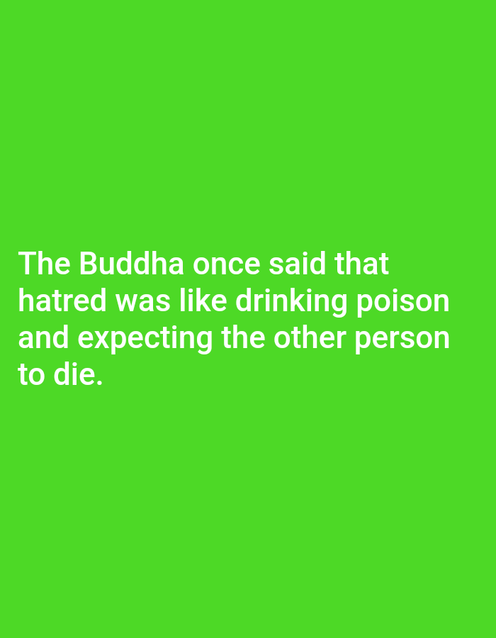 The image is a solid green background with the following text in white, centered on the page: "The Buddha once said that hatred was like drinking poison and expecting the other person to die." The latitude and longitude coordinates provided (26.751, 80.924) correspond to a location in Lucknow, India. There are no people, subjects, objects, actions, interactions, or environment depicted in the image.