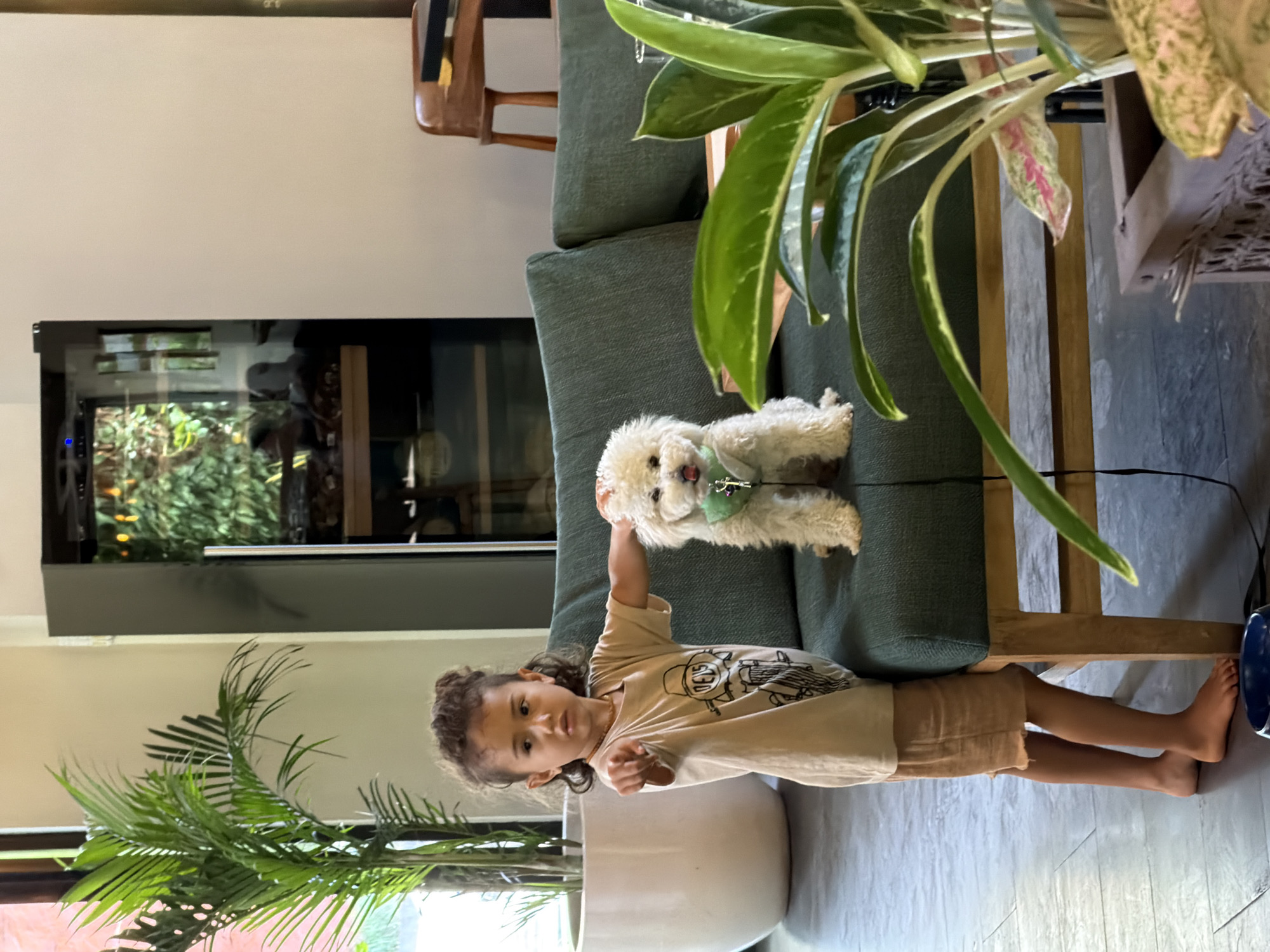 A child stands on the floor, holding a small white dog above her head, the dog sitting on the arm of a green couch. A large green plant obscures part of the couch. Behind the child is a potted palm tree, and behind the couch is a glass-fronted cabinet. The location is Ubud District, Indonesia.