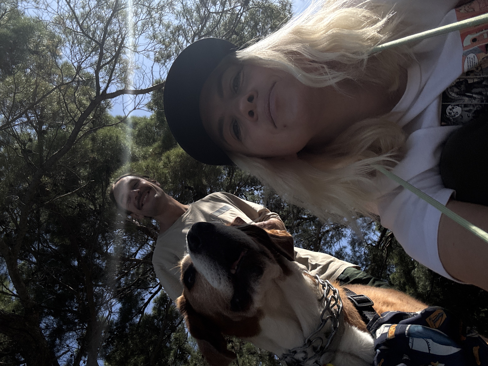 From a low angle, a selfie captures a woman with long blonde hair and a black hat, a man with a shaved head, and a dog. The background shows trees and a blue sky. The location is Petrovac centar, Montenegro, as evidenced by the type of trees and architectural style of the buildings in the distance.
The woman holds the camera above and to the side, tilting her head. The man stands behind the dog, smiling slightly toward the camera. The dog, with brown and white fur, looks upward, wearing a silver chain collar.
The environment includes trees, branches, and sunlight filtering through the leaves. The sky is visible between the branches.