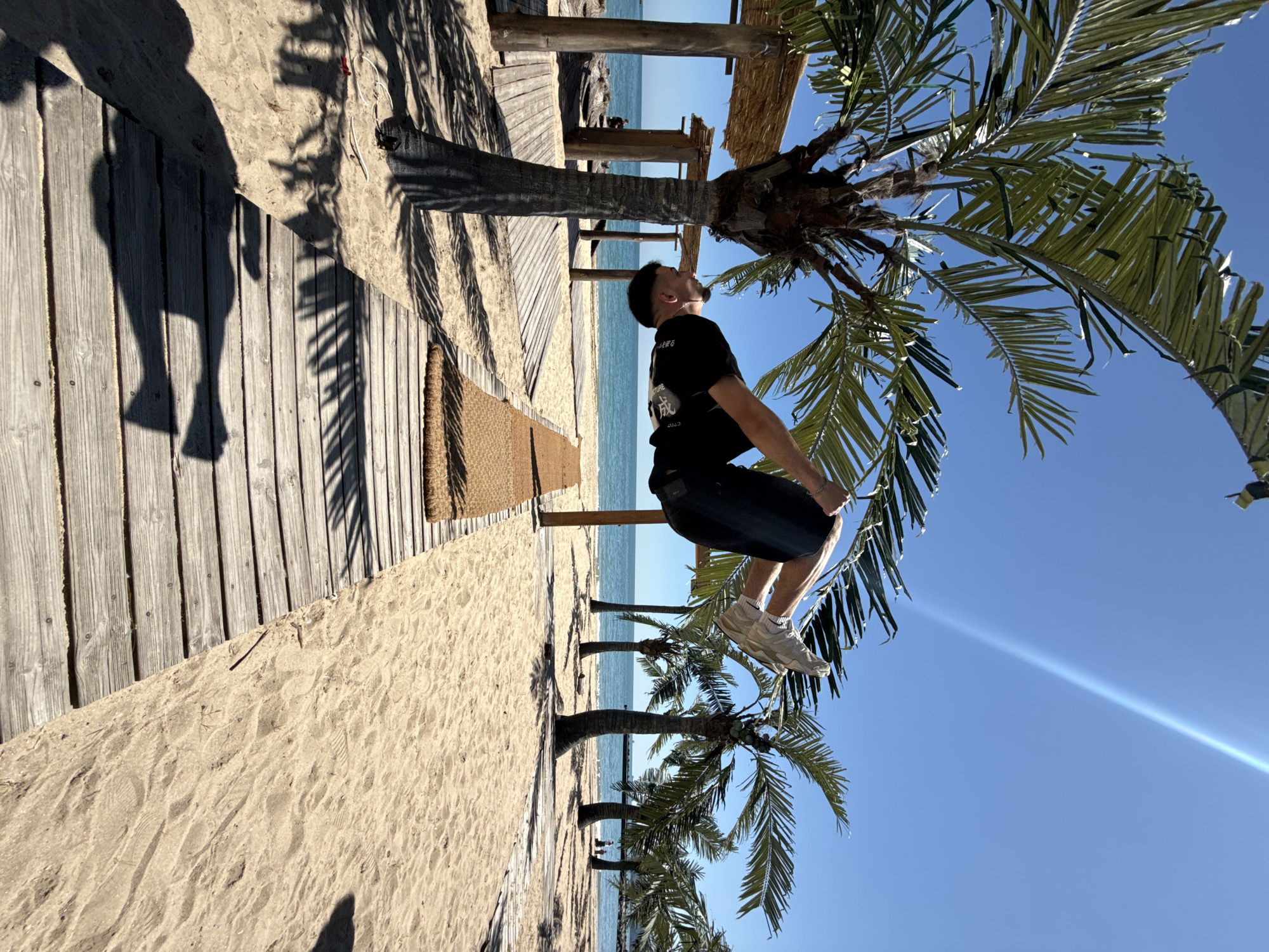 A man is hanging from a palm tree on a beach in Varna, Bulgaria. He is wearing a black shirt and dark shorts, with white sneakers. The palm tree is situated on a sandy beach next to a wooden boardwalk. The sea is visible in the background, along with other palm trees lining the shore. The sky is clear and blue. The camera angle appears to be rotated to the left, creating a skewed perspective of the scene.