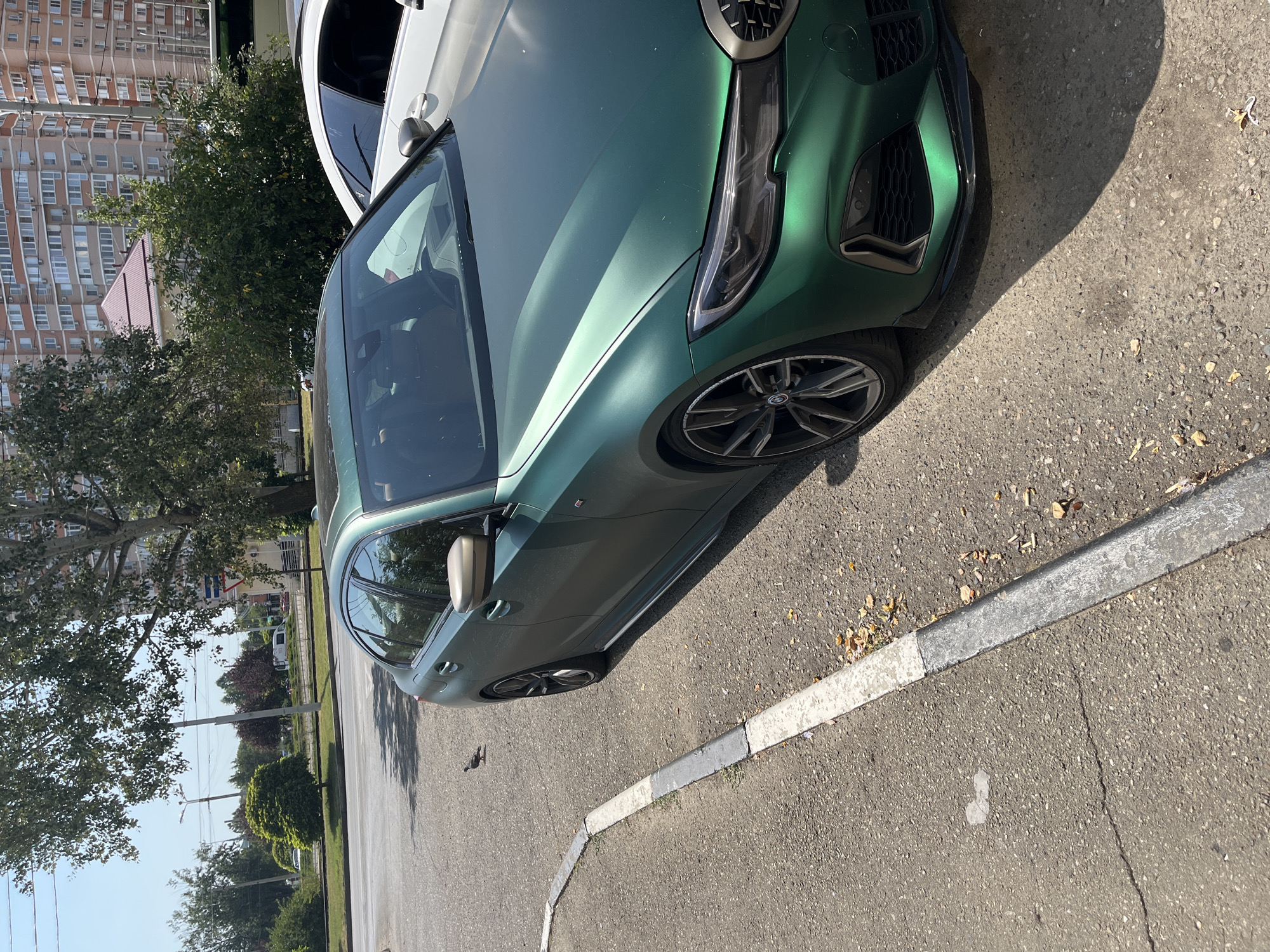 A matte green BMW sedan is parked on an asphalt surface next to a curb. The car is angled towards the right of the frame, with its front end facing away from the viewer. A white car is partially visible behind the BMW. In the background, there are trees, a building with many windows, and a street light. A bird is standing on the asphalt to the left of the BMW. The scene appears to be in an urban environment.