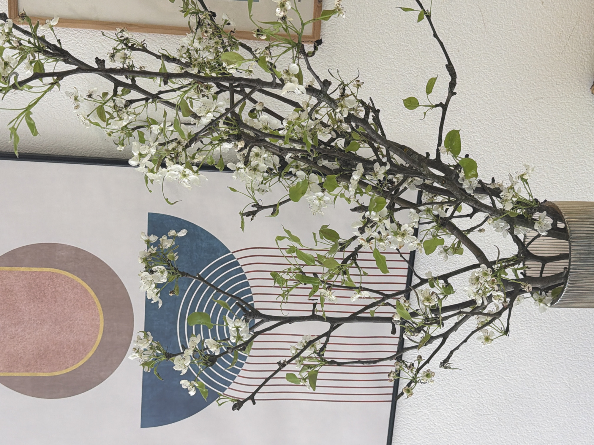 The image captures an indoor still life, primarily featuring a decorative arrangement of flowering branches against a white, textured wall. The main subject is a large, dark brown branch adorned with numerous small white blossoms and nascent green leaves, suggesting early spring. The branch is arranged vertically and extends across the frame, with smaller branches intertwining. It appears to be held in a textured, possibly ribbed or pleated, cylindrical vase or holder on the right side of the image, which is partially visible.
Behind the floral arrangement, a modern geometric artwork is displayed. On the left, a large, dusty rose-colored elongated oval shape, outlined with a thin golden border, is set within a wider, slightly darker oval. To its right, a dark blue semi-circular or fan-shaped element is visible, featuring concentric white lines that radiate from its center. Further to the right, a series of horizontal reddish-brown lines extend across the white background.
The background is a clean white wall with a subtle textured finish, possibly stucco or a patterned wallpaper. A thin wooden frame is partially visible at the very top of the image, suggesting another piece of decor or a window frame. The lighting is soft and even, indicating an indoor setting, likely during the daytime or under artificial light. There is no discernible activity or event taking place, as it is a static scene. No specific text is clearly legible, though faint, indistinct letters like "B" and "R" or "D" might be glimpsed in the upper framed area. The overall impression is one of modern interior design with a touch of natural beauty.
