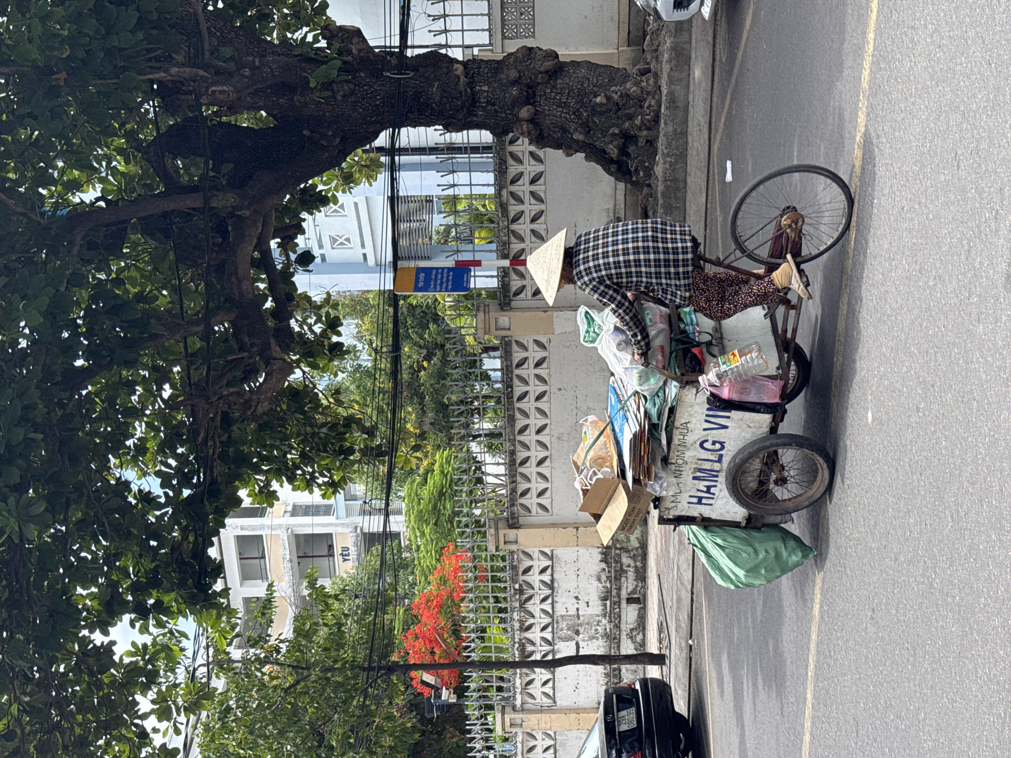 In Nha Trang, Vietnam, a person wearing a conical hat and a plaid shirt rides a tricycle laden with recycled materials. The tricycle is adorned with a green bag on the left and a collection of boxes, plastic bottles, and other refuse on its platform. The person is pedaling on a paved road with a yellow line marking the lane. In the background, a large tree with dark bark stands prominently. Behind the tree, a white fence with decorative patterns separates the road from a building. Red flowers bloom on a bush near a pole with a sign. Further in the distance, a multi-story building with white and blue accents is visible. A black car is parked on the side of the road to the left of the frame.