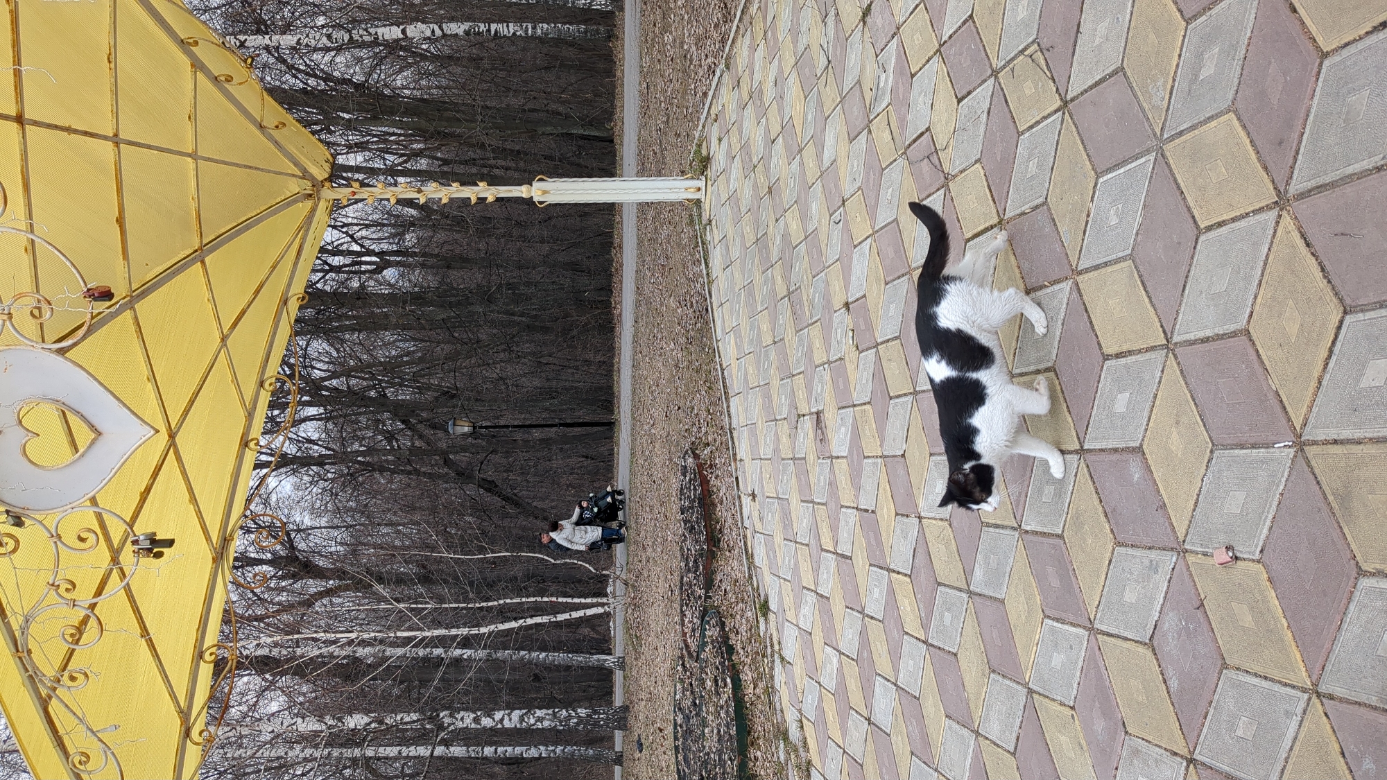 The image shows a black and white cat stretching on a geometrically patterned walkway. Part of a yellow structure is visible on the left side of the image. In the background, there are bare trees and a walkway with two people and a stroller. Based on visual analysis, the location is most likely a park in Ulyanovsk, Russia.