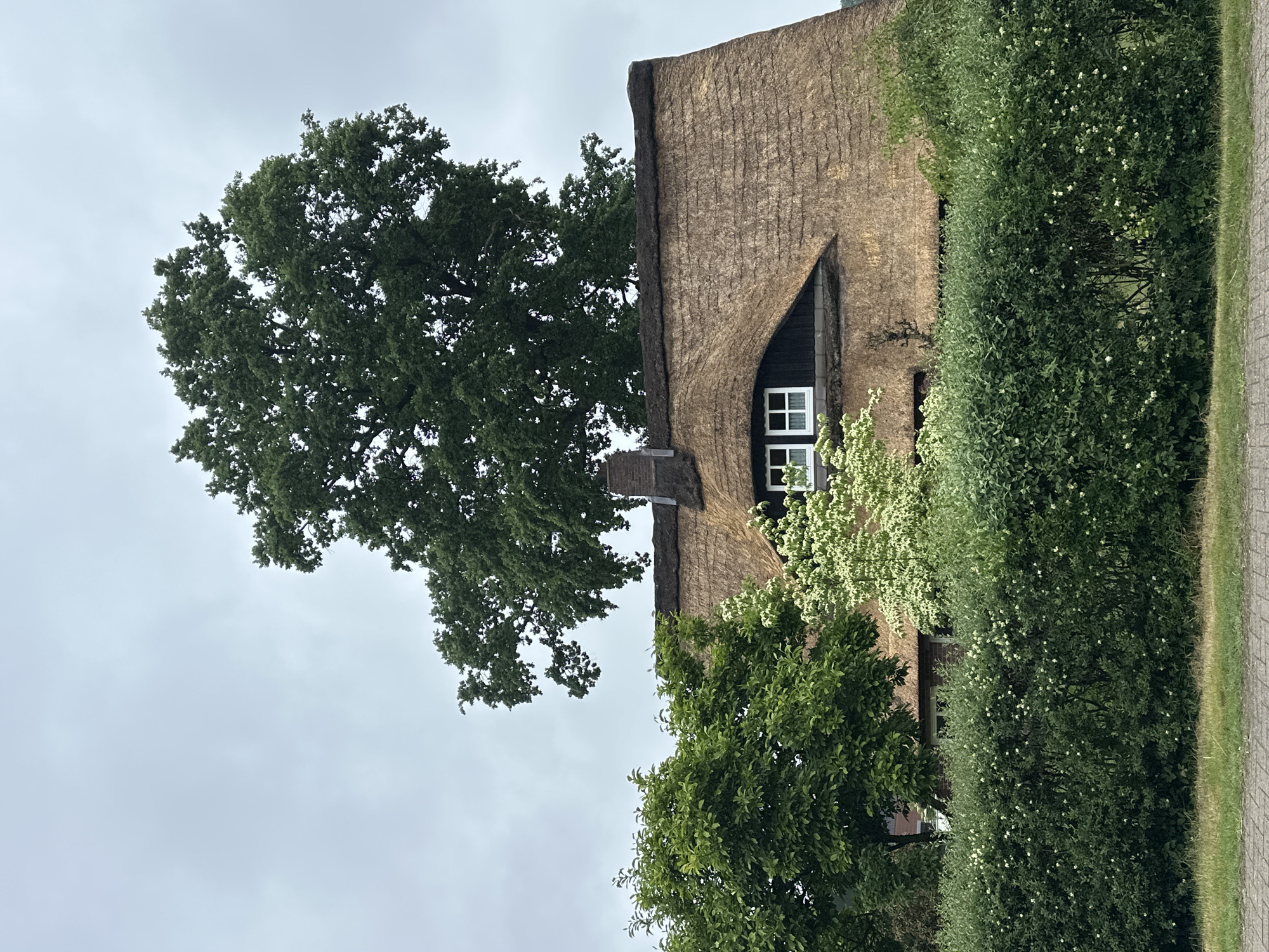 An external, eye-level photograph captures a traditional thatched-roof house in Deinste, Germany, under an overcast sky. A very large, dense green deciduous tree dominates the upper portion, partially obscuring the house's roofline. A smaller, vibrant green tree is positioned to the left. The prominent feature of the house is its steeply pitched, golden-brown thatched roof, which includes a distinct "eyelid" dormer window. This dormer contains two small, white-framed windows with multiple panes and white curtains visible inside. A brick chimney rises from the thatched roof, slightly to the left of the large tree. In front of the house, a dense, dark green hedge adorned with small white flowers spans the width of the frame, obscuring the lower portion of the structure. A narrow strip of green grass and a grey paved surface are visible at the bottom of the image. No people or animals are present.