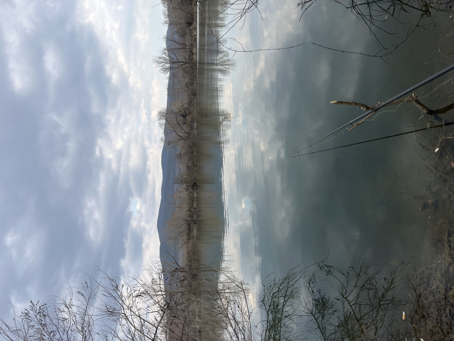 The image depicts a serene outdoor scene, presumed to be in Shanovo, Bulgaria, showcasing a calm body of water under an overcast sky. The sky is dominated by a dense formation of grey and white clouds, with faint patches of lighter sky visible. The water surface is still, creating clear reflections of the clouds and the surrounding bare trees.
In the immediate foreground on the left, a portion of a leafless tree with slender branches extends into the frame, casting a detailed reflection onto the water. In the lower right foreground, a black fishing rod is visible, propped horizontally on a bare, broken tree branch that protrudes from the water. The rod extends into the water towards the center, and a small, red-tipped fishing float is present on the water's surface, indicating a line is cast. The water near the bank is shallow and somewhat clear, revealing submerged organic debris such as leaves and small branches at the bottom.
Across the water in the midground, a narrow landmass is covered with numerous bare deciduous trees and shrubs, suggesting a late winter or early spring season. Beyond this treeline, a range of undulating, blue-hued hills or mountains forms the distant background, positioned beneath the cloudy horizon. No individuals or active human interactions are present, though the fishing rod implies recent or ongoing human presence.