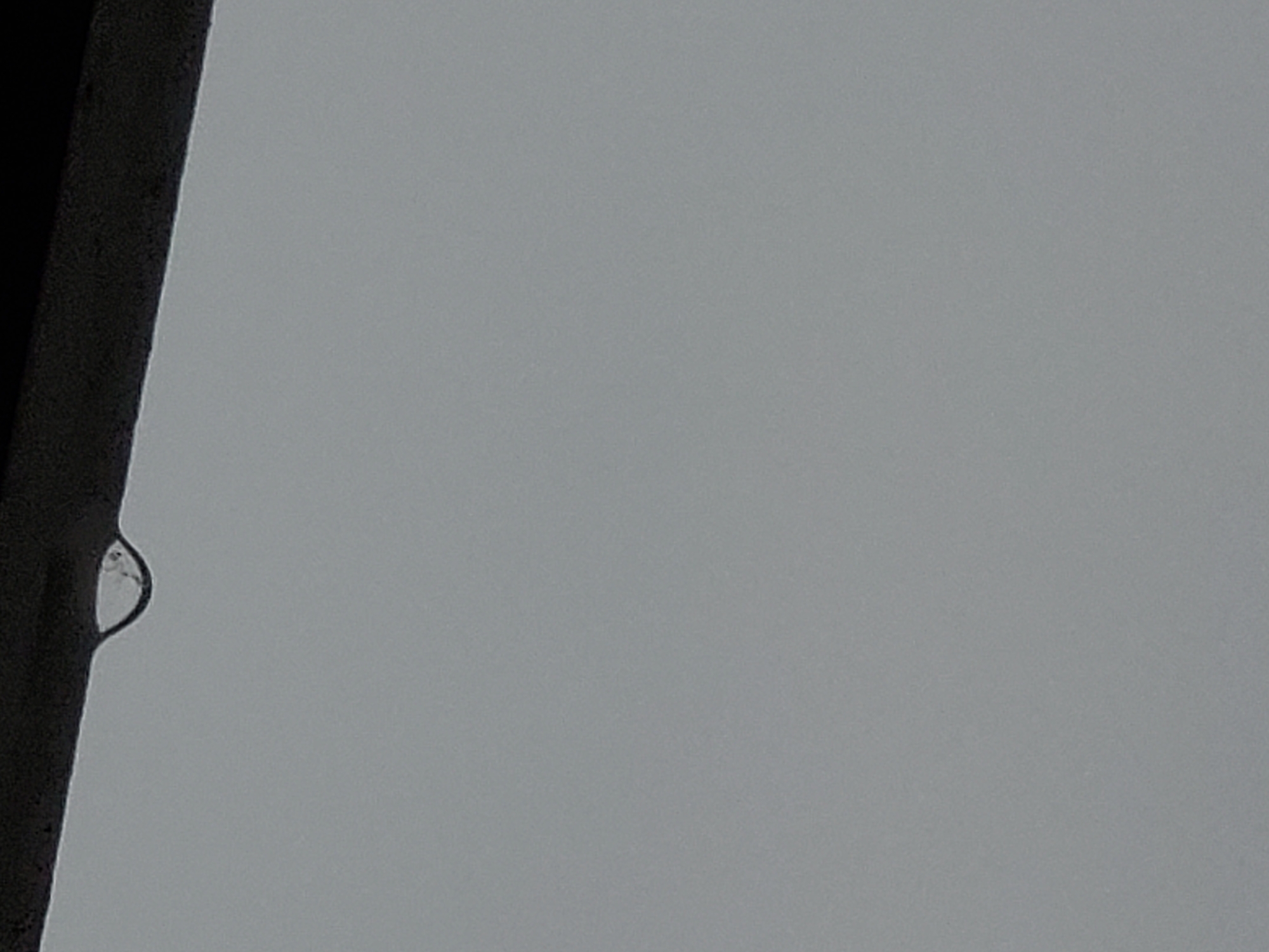The image shows a close-up of a dark, horizontal surface with a single, small raindrop hanging from its underside. The background is a uniform, muted gray, suggesting an overcast or foggy sky. The raindrop is clear and shows a slight reflection of the dark surface above it. The scene appears to be outdoors, possibly on an overhang, gutter, or ledge. There are no people or other objects visible. The specific location in Tiraspol, Moldova cannot be determined from the image alone.