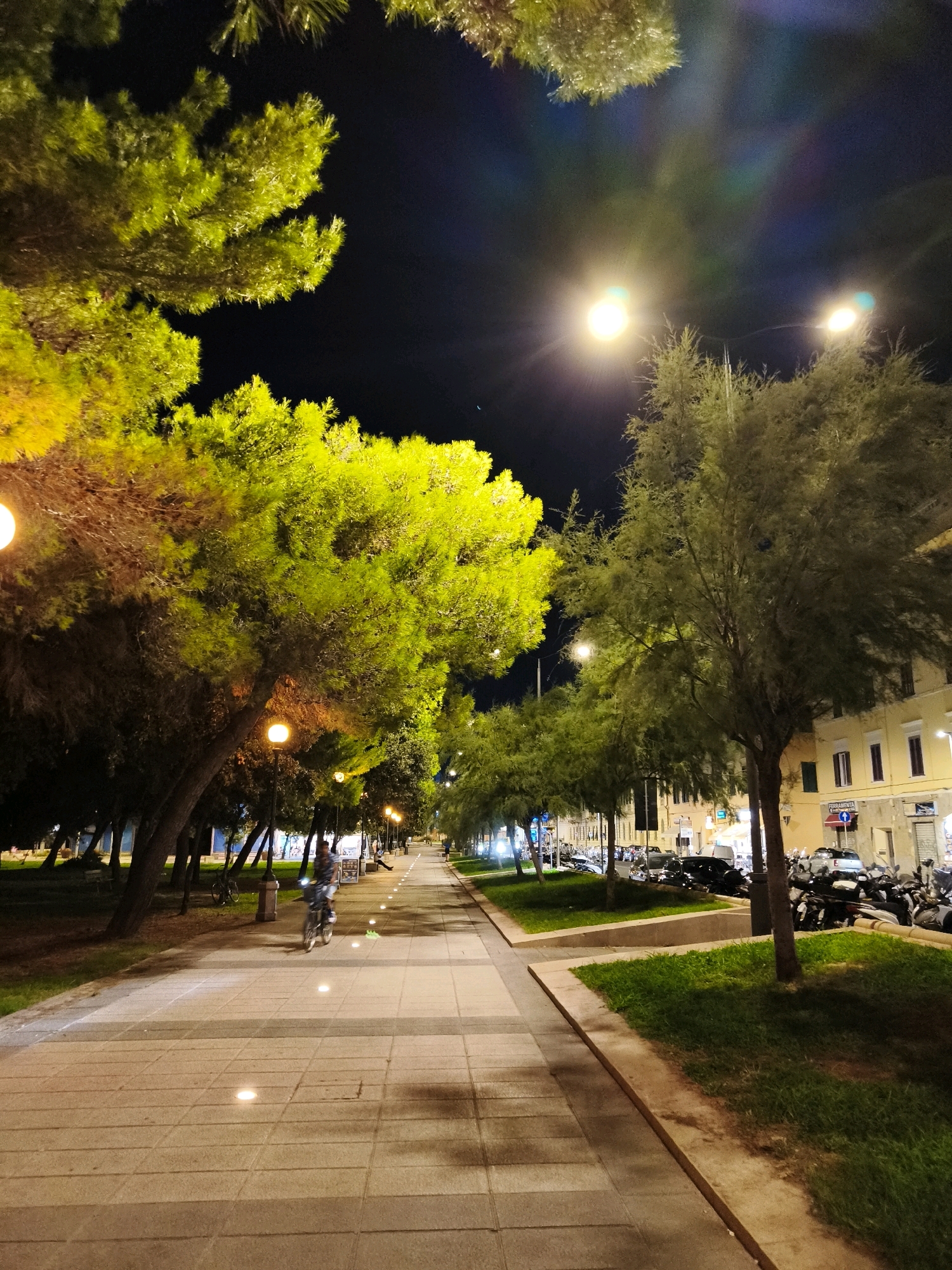 The image depicts a nighttime view of a tree-lined promenade in Livorno, Italy. The promenade, paved with large rectangular tiles, is illuminated by streetlights and embedded ground lights, casting a warm glow on the scene. On the left, lush green trees, possibly pine trees, with some foliage illuminated by artificial light, overhang the pathway. Further down the promenade, a person is seen riding a bicycle. On the right side of the promenade, parked cars and motorcycles line the street, with buildings visible in the background, suggesting an urban setting. The overall atmosphere is serene, with the lighting creating a sense of tranquility and inviting a nighttime stroll or bike ride. The specific location within Livorno appears to be a public area designed for recreation and pedestrian access.