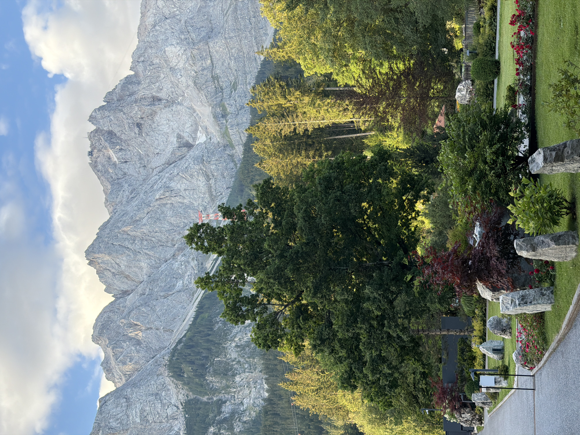 The image shows a scenic view of the Zugspitze mountain range in Grainau, Germany. In the foreground, a paved path leads through a well-maintained garden with various plants, flowers, and decorative rocks. A large deciduous tree dominates the center, with a backdrop of coniferous trees and the imposing, rocky peaks of the mountains. The sky is partly cloudy, with the sun casting a warm light on the scene. The overall impression is one of natural beauty and tranquility, characteristic of a mountain resort town.
