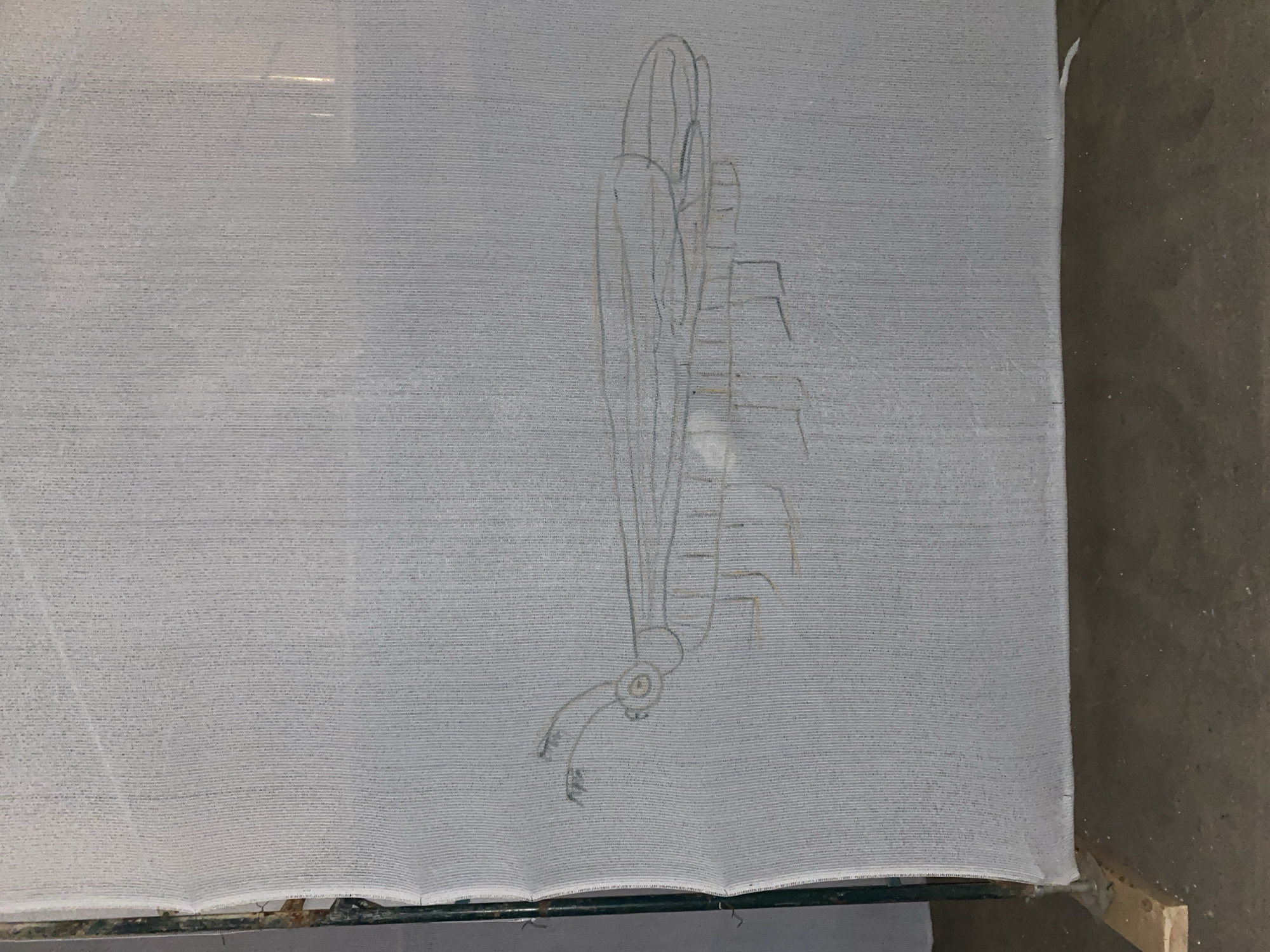 A drawing of a grasshopper on a white, gauzy fabric. The fabric appears to be draped or stretched over a surface. The grasshopper is drawn in a light color, possibly pencil. The overall setting seems indoors. Moscow, Russia, is not discernible from this image.
