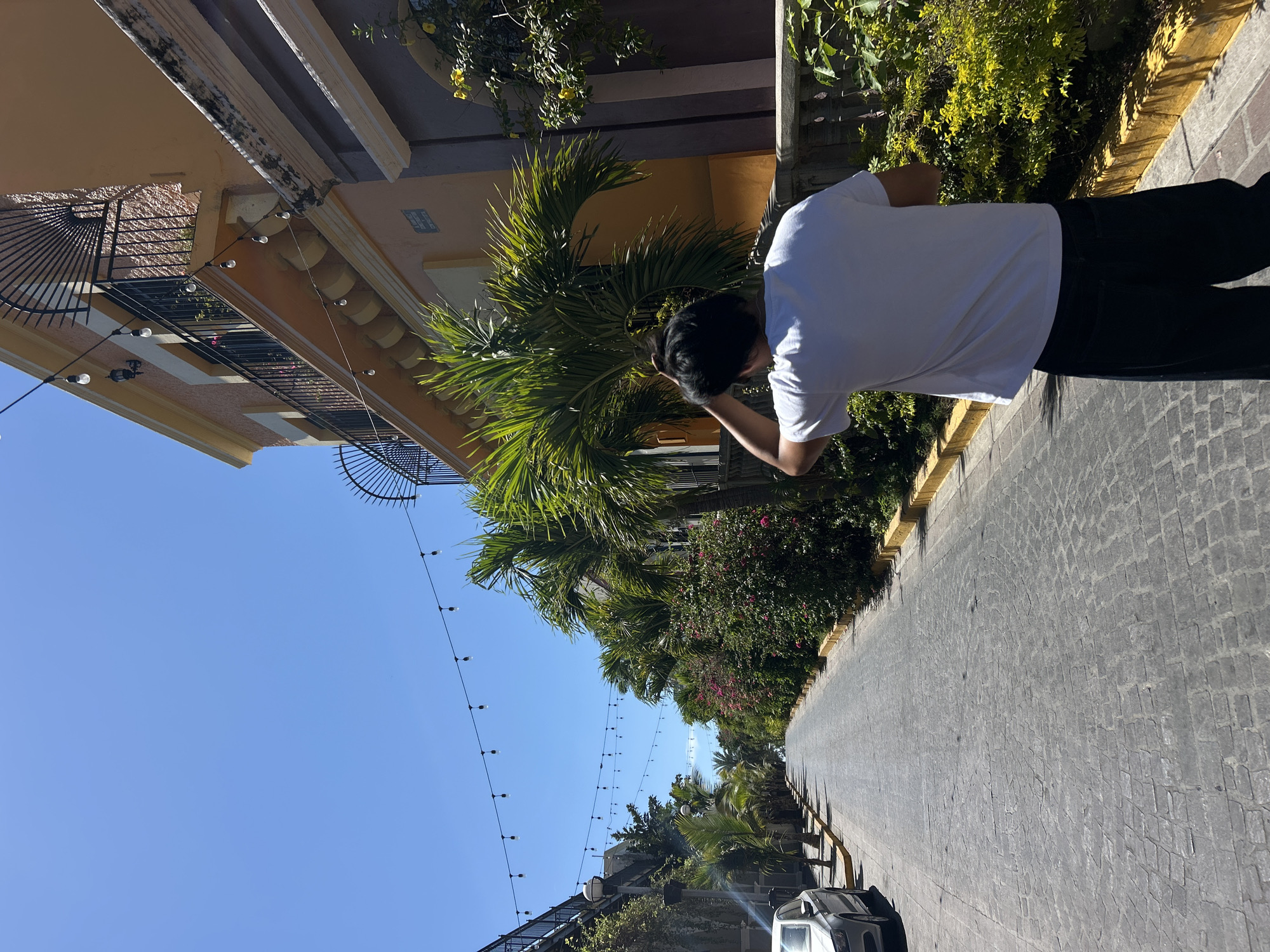 The image captures a street scene in Mazatlán, Mexico. A person with dark hair and wearing a white t-shirt and black pants is seen standing on a cobblestone road. The person appears to be looking at something, possibly holding their head. The road is bordered by lush greenery on one side and a building with balconies and decorative lights on the other. The sky is clear and blue. A car is parked on the side of the road.