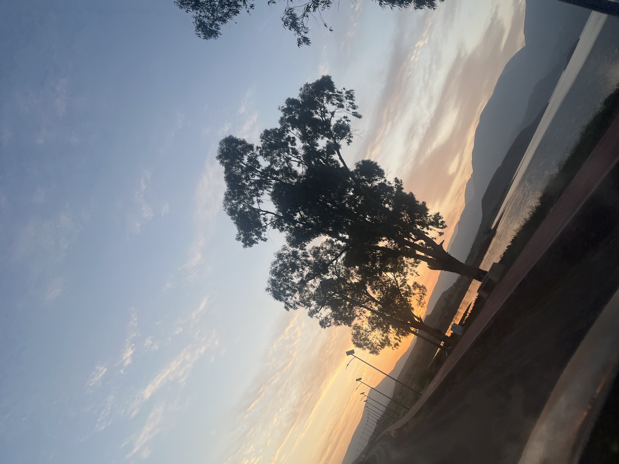 The image shows a sunset landscape in Bin El Ouidane, Morocco. A large tree is silhouetted against the sky, with mountains visible in the background. The sky is a mix of blue, orange, and pink hues. Streetlights are visible along a road. A body of water, likely the lake, is on the right. The scene appears to be viewed from within a vehicle.