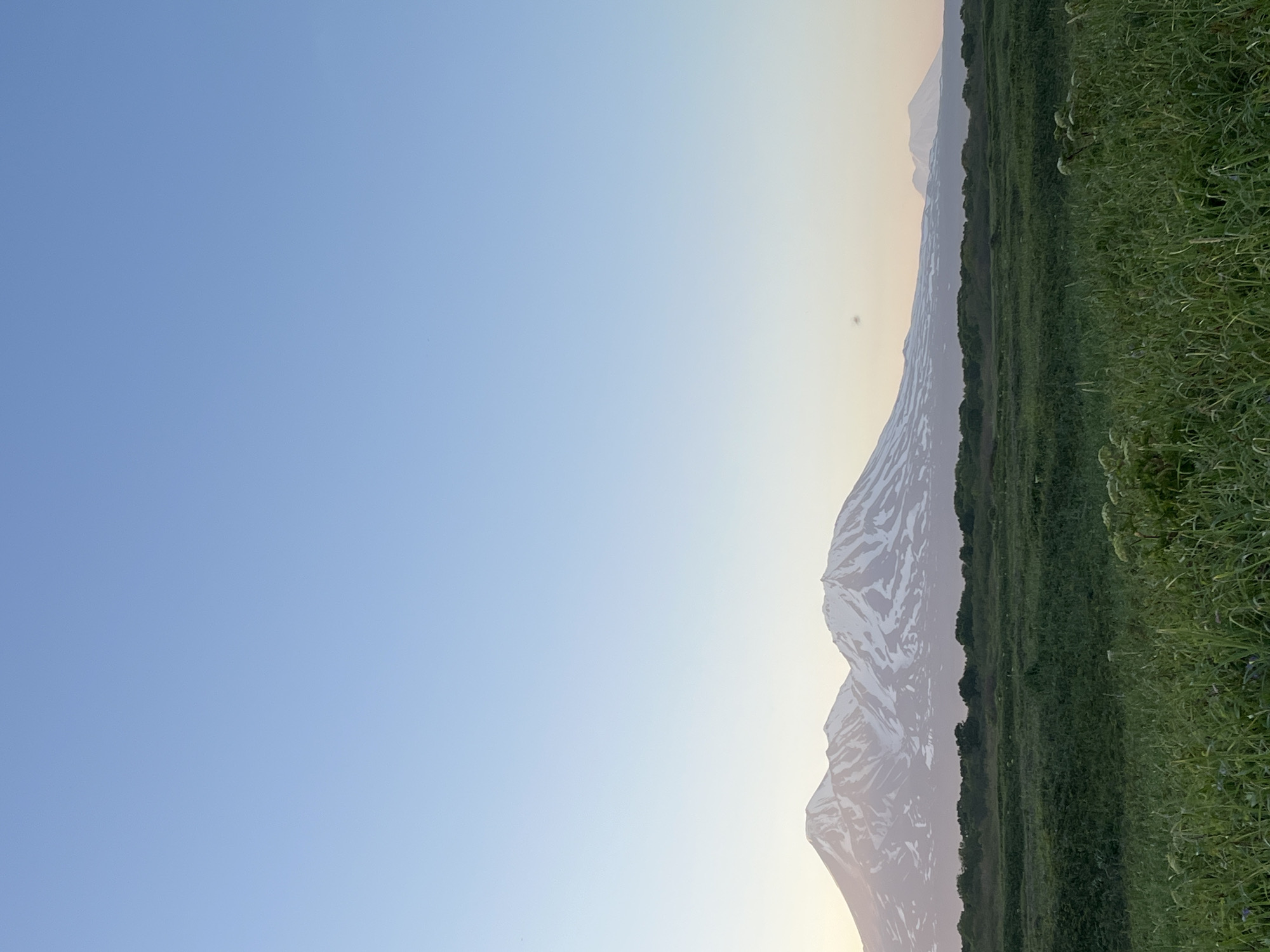 This is a vertical, eye-level photograph of a natural landscape under a clear, pale blue sky. In the foreground, there is a field of tall, green grass with some white wildflowers. Beyond the grass, there is a dense line of dark green bushes and trees. In the background, a range of mountains with snow-capped peaks dominates the horizon. The largest mountains appear to be volcanoes, with two prominent peaks visible in the center of the frame. To the right, a smaller, more distant mountain is also visible. The lighting suggests it is either early morning or late evening, with a soft, diffused light illuminating the scene. There are no people or man-made structures visible in the image.
The scene likely depicts a view of the volcanoes of Avachinsky Bay, a prominent geographical feature near Petropavlovsk-Kamchatskiy, Russia. The snow-capped mountains are characteristic of the volcanic landscape of the Kamchatka Peninsula.