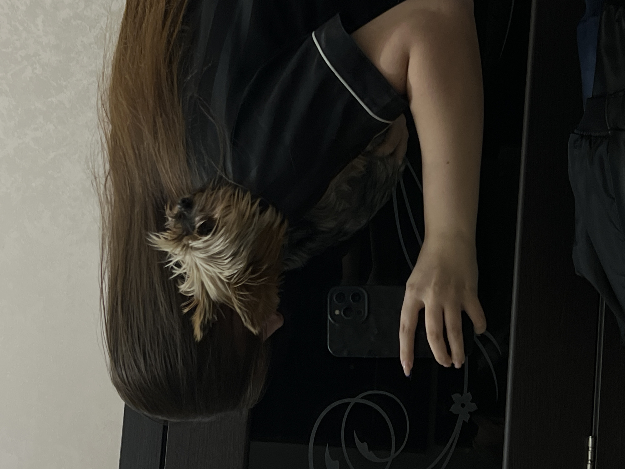 The image presents a close-up, intimate indoor scene, likely in a domestic setting in Chaikovsky, Russia. The main subjects are a person and a small dog. A person, whose face is not visible, occupies the upper right portion of the frame, wearing a dark (possibly black or navy) pajama top with white piping on the sleeve cuff. Long, brown hair cascades downwards, partially covering a small dog.
The dog, resembling a Yorkshire Terrier or a similar breed, has light brown and blonde fur on its head, which peeks out from under the person's hair, and darker fur on its body. Its head is oriented towards the lower left.
The person's left hand is visible, holding a dark-colored smartphone, which appears to be an iPhone due to its distinctive multi-camera module. The hand and phone rest upon a highly reflective, dark surface, which could be a mirrored cabinet door or a polished tabletop. This surface is subtly decorated with faint, light grey swirls and a flower-like pattern.
In the background on the left, a light-colored, textured wall, possibly wallpaper, is visible. To the far right, a section of a dark wooden cabinet or furniture piece is apparent, along with a metal hinge and some folded dark clothing, possibly athletic wear.
The activity depicted is casual, suggesting the person is holding their phone, perhaps taking a selfie or simply browsing, with their dog comfortably nestled nearby. The lighting is soft and ambient, characteristic of indoor conditions. No visible text is present in the image. The scene conveys a relaxed and personal atmosphere.