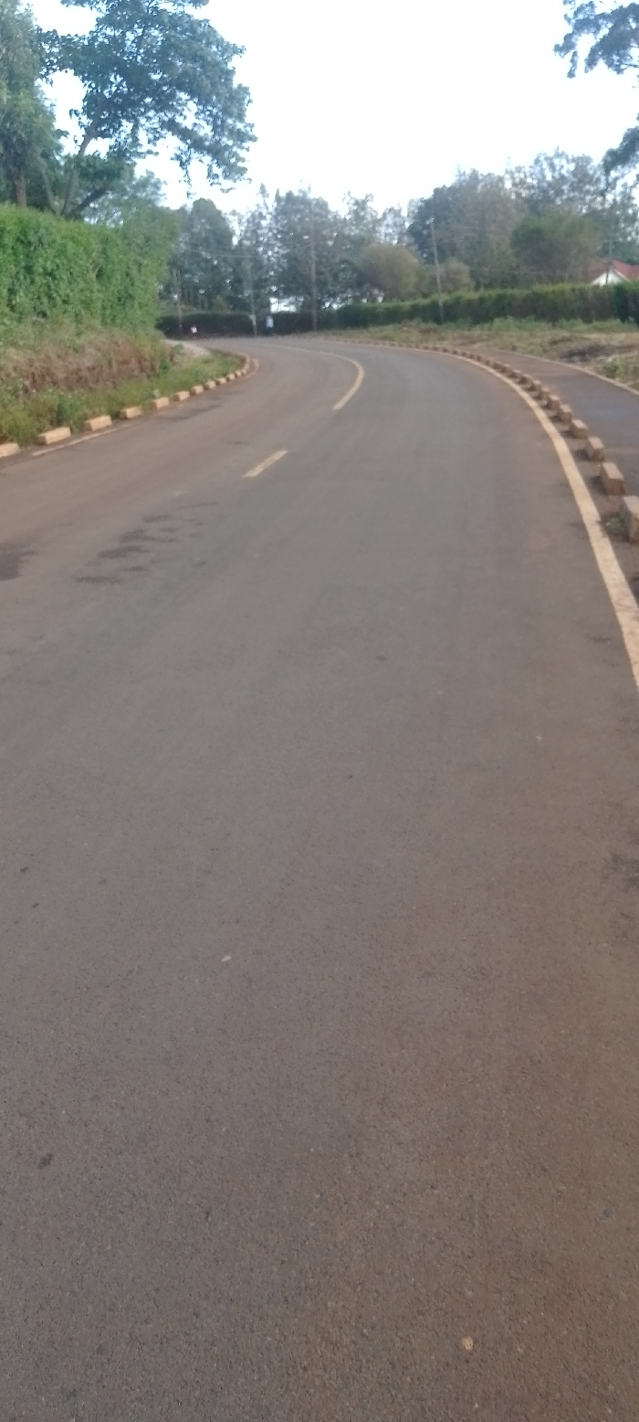 The image captures an outdoor scene featuring a paved, asphalt road curving gently to the right. The road surface is dark gray with visible texture, showing some darker patches that could be stains or wet spots, and minor wear.
A yellow dashed line runs along the center of the road, indicating separate traffic lanes, though the road appears wide enough for two lanes. On the right side of the road, a solid yellow line marks the edge of the asphalt, bordering a narrow paved shoulder or walkway. This shoulder is lined with a series of light brown or beige concrete curb blocks, which are evenly spaced and form a boundary with the surrounding greenery. A similar arrangement of curb blocks also lines the left side of the road, separating it from an elevated embankment covered in lush green foliage and bushes.
Beyond the immediate roadside, numerous trees with green leaves are visible, extending into the background. On the left, the trees rise from the embankment, while on the right, they form a dense line further back from the road. In the far distance on the right, through the trees, a small building with a white wall and a distinct reddish-orange roof can be faintly discerned. Very blurry figures, possibly people, are barely visible in the distance near the bend on the left side of the road.
The sky is bright and largely overcast or diffused, appearing almost white, suggesting it is daytime but not necessarily sunny, perhaps early morning, late afternoon, or a cloudy day. The overall impression is one of a calm, suburban, or semi-rural road with ample greenery. There are no vehicles or other prominent objects on the road in the foreground or midground. No discernible text is visible in the image.